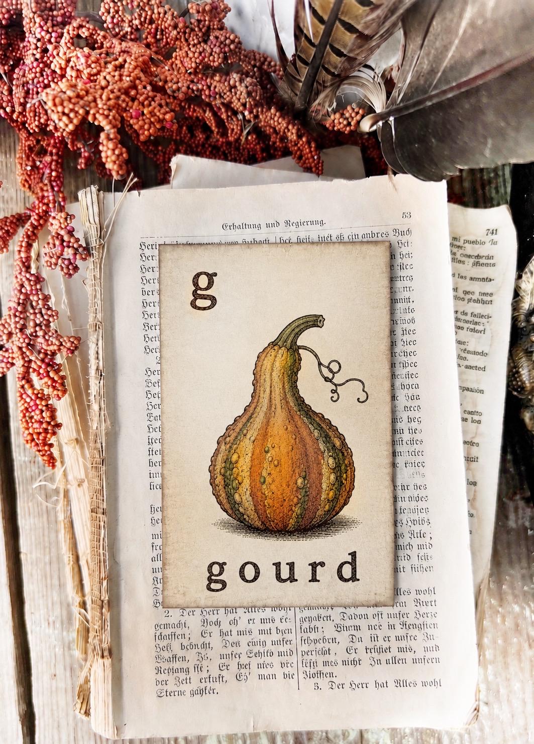 GOURD Flash Card Vintage Farmhouse Fall Halloween Autumn Decor Party