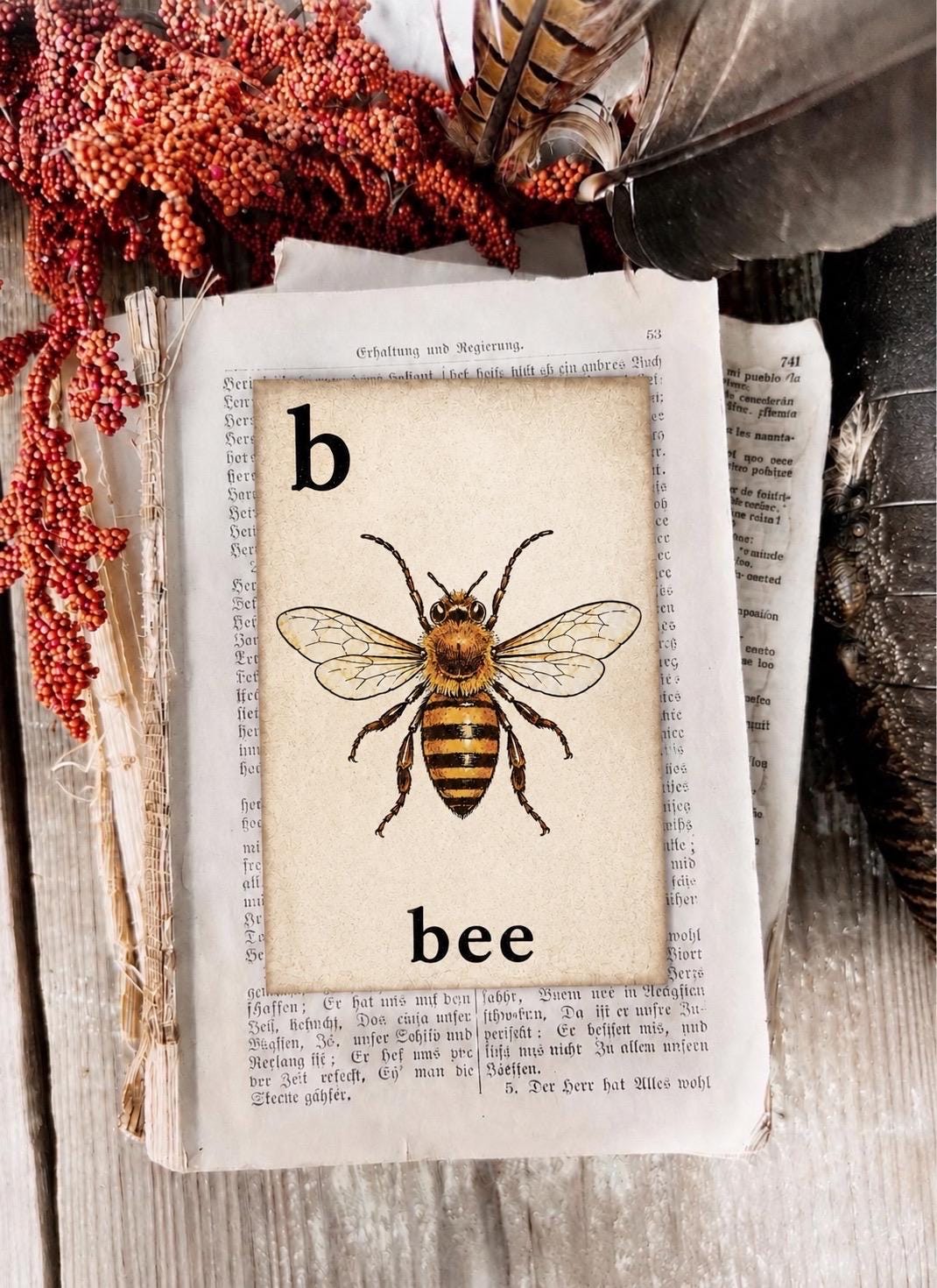 BEE Flash Card Vintage Farmhouse Fall Halloween Autumn Decor Party