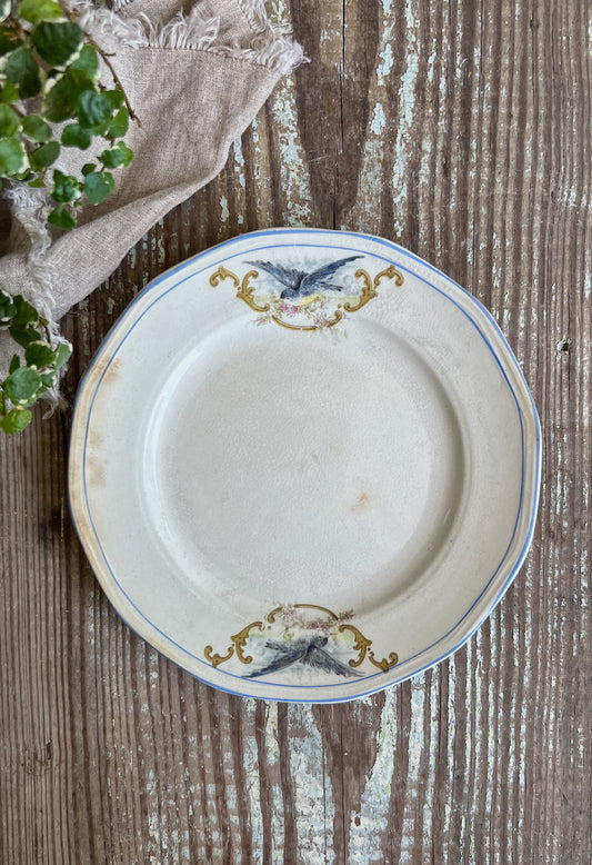 Antique BLUEBIRD Ironstone Plate