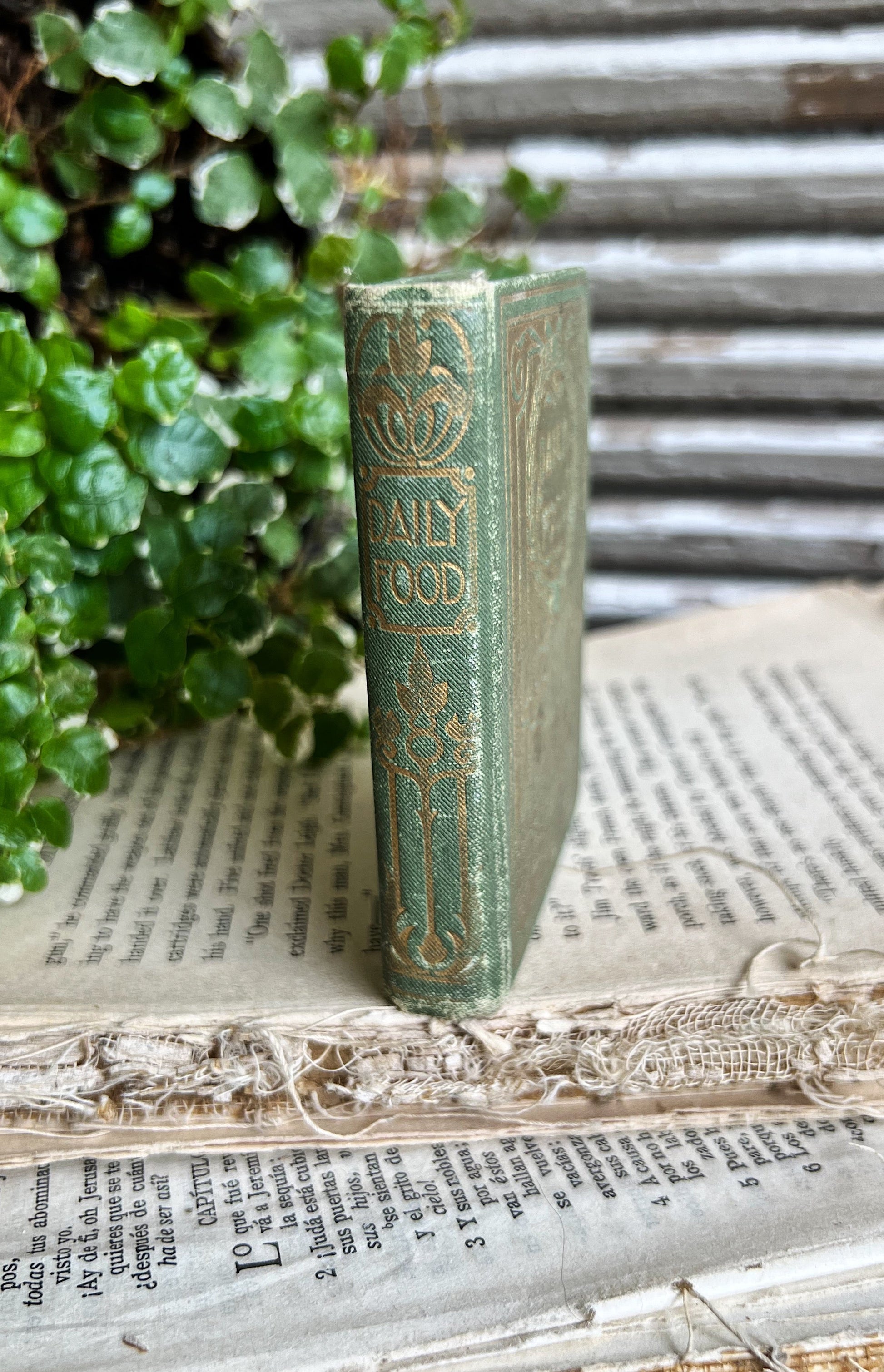 Antique Daily Food Devotional Book
