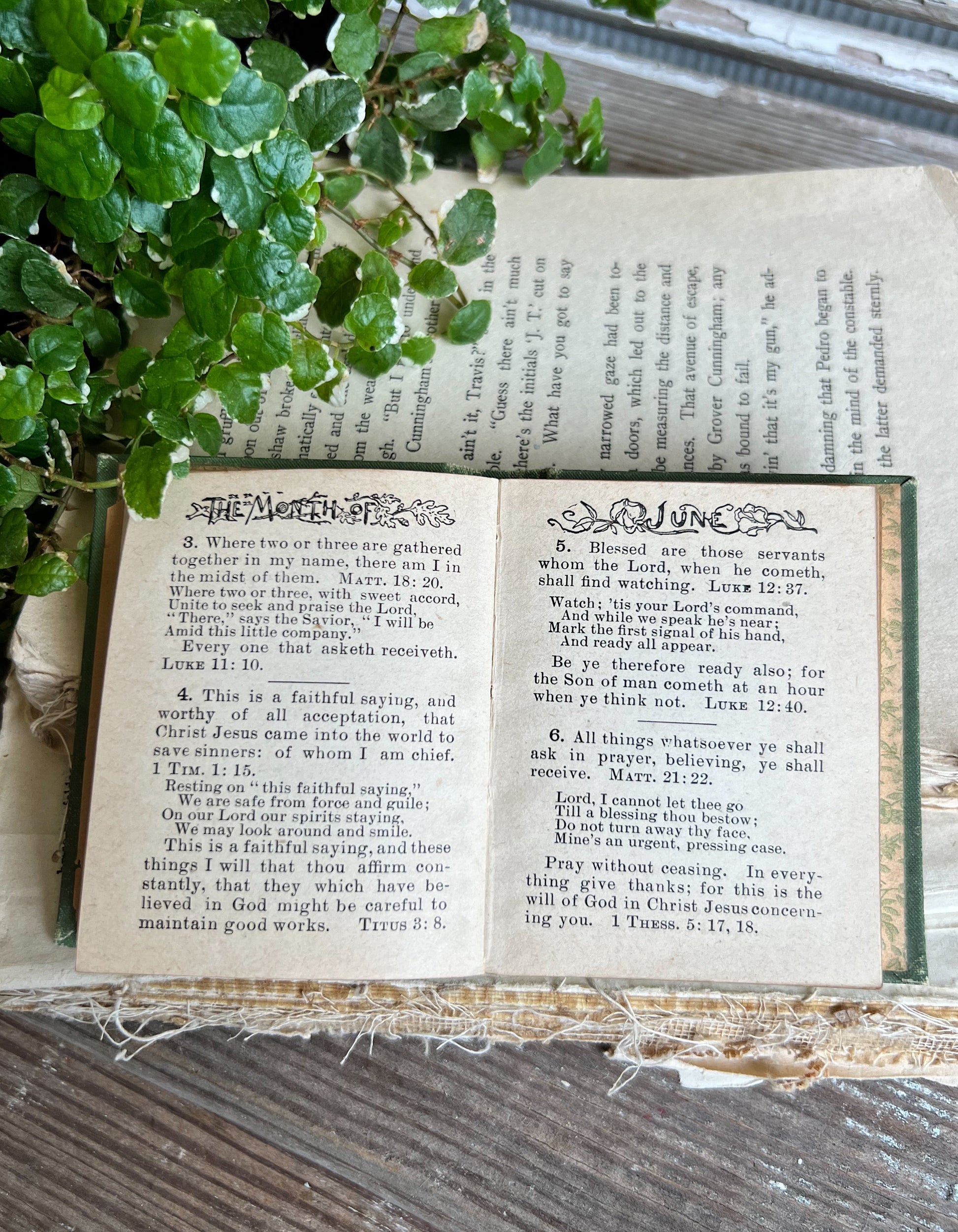 Antique Daily Food Devotional Book