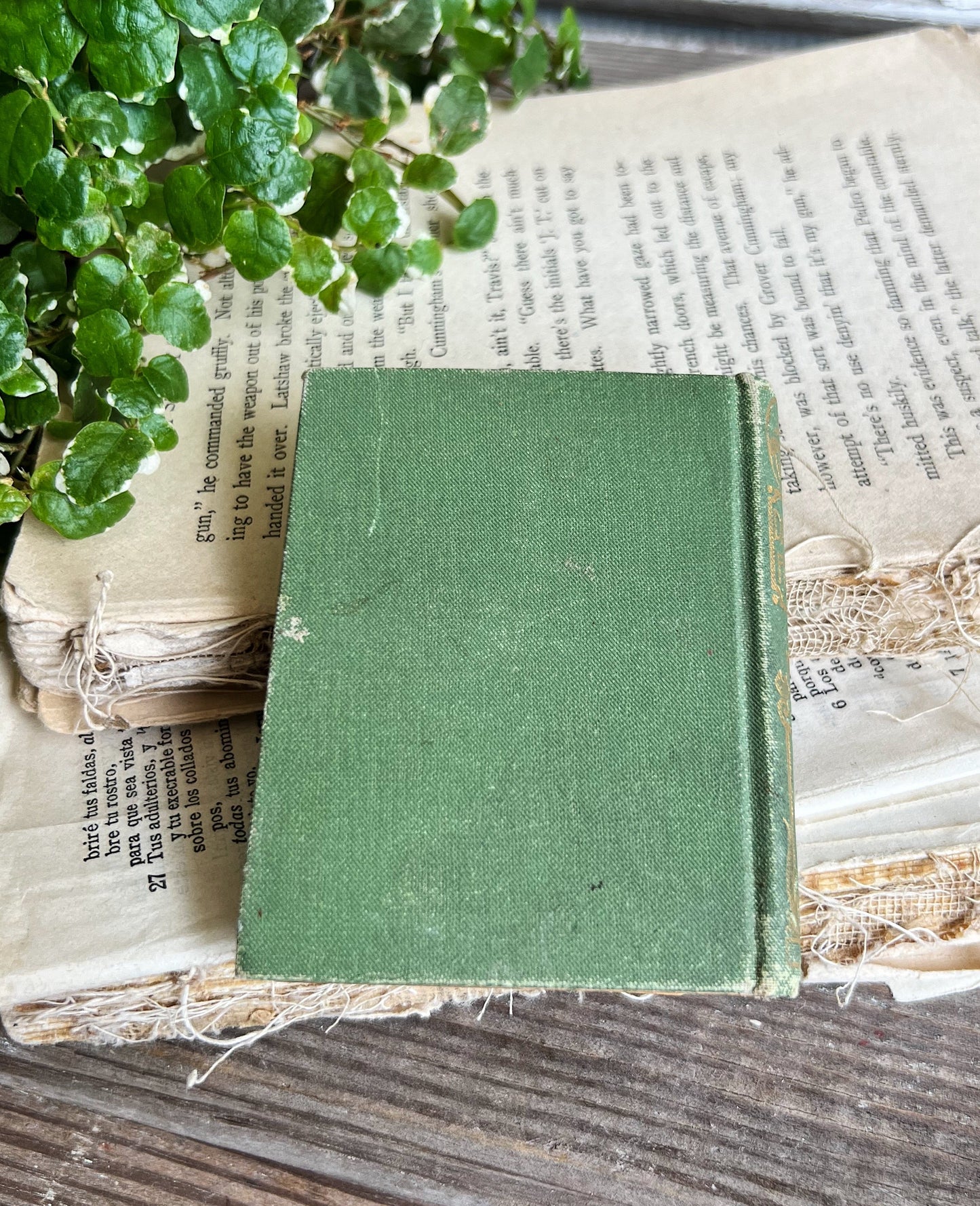 Antique Daily Food Devotional Book