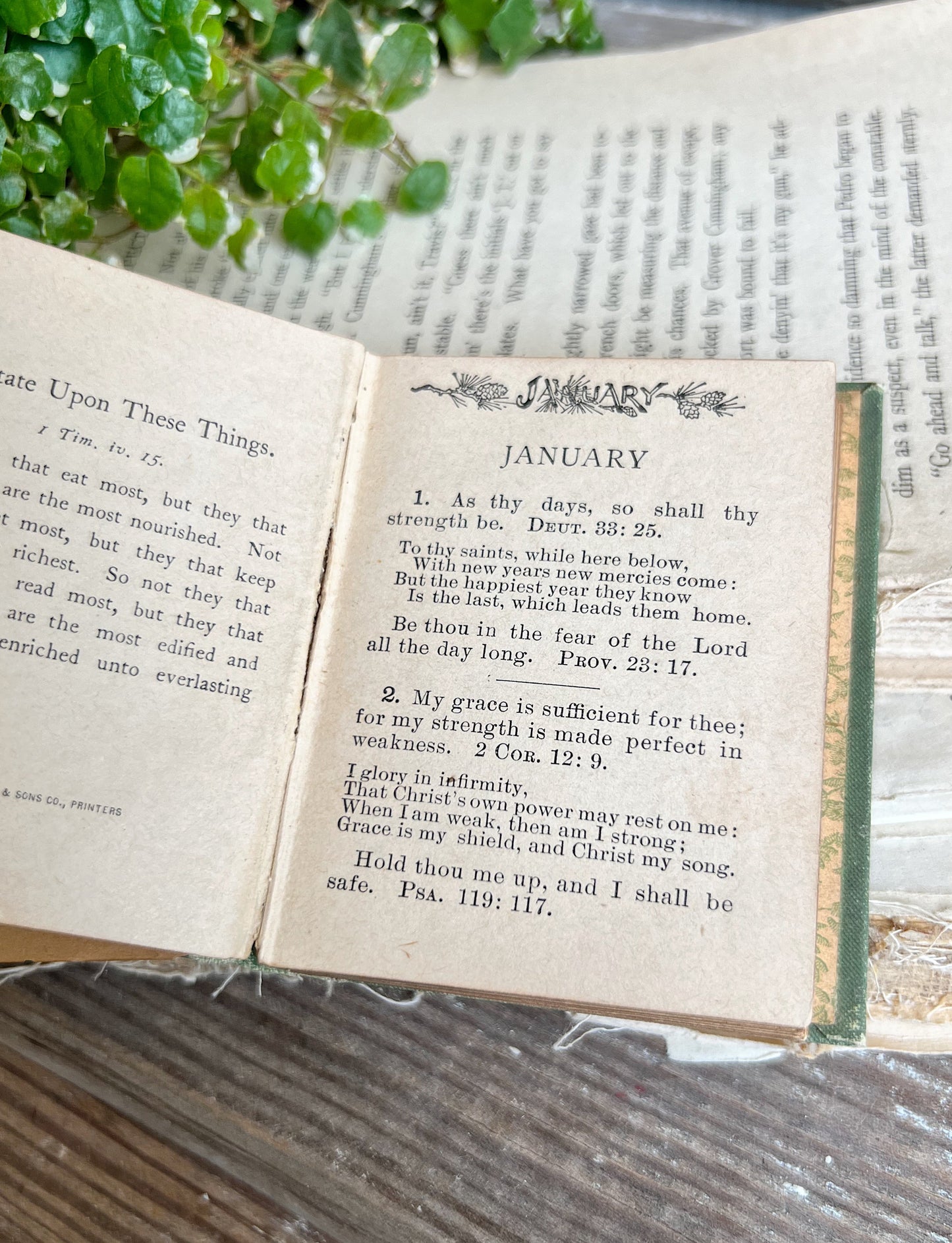 Antique Daily Food Devotional Book