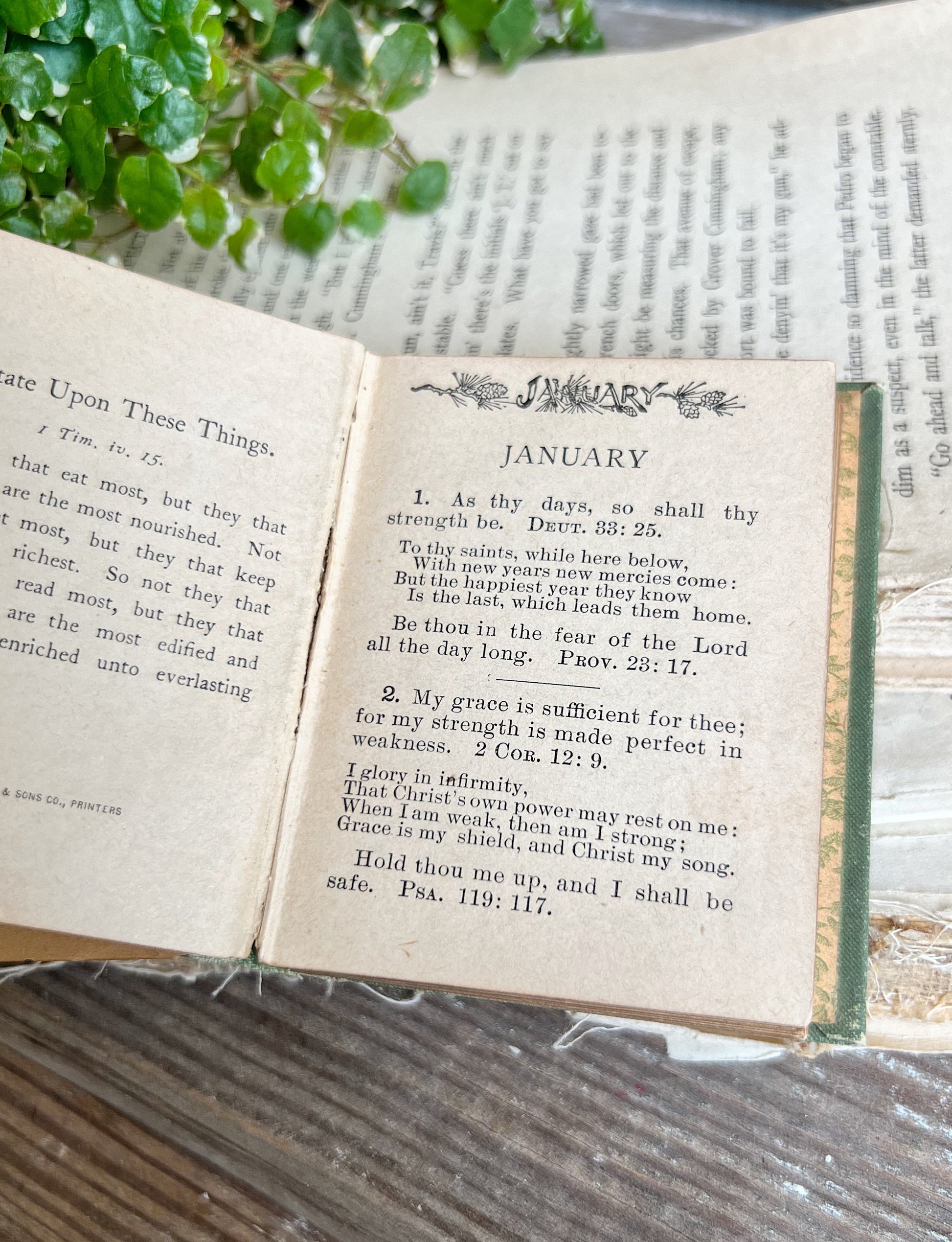 Antique Daily Food Devotional Book