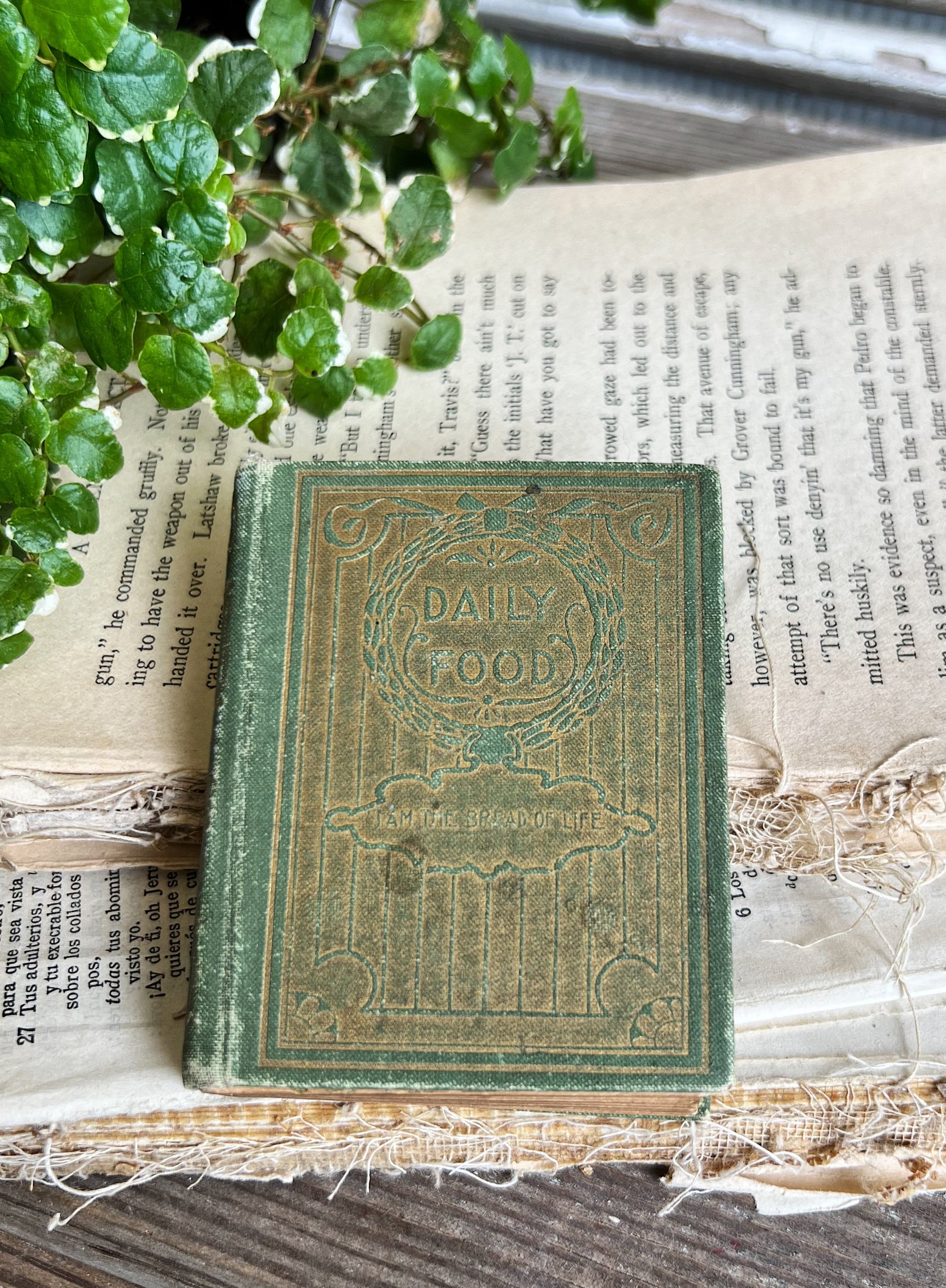 Antique Daily Food Devotional Book