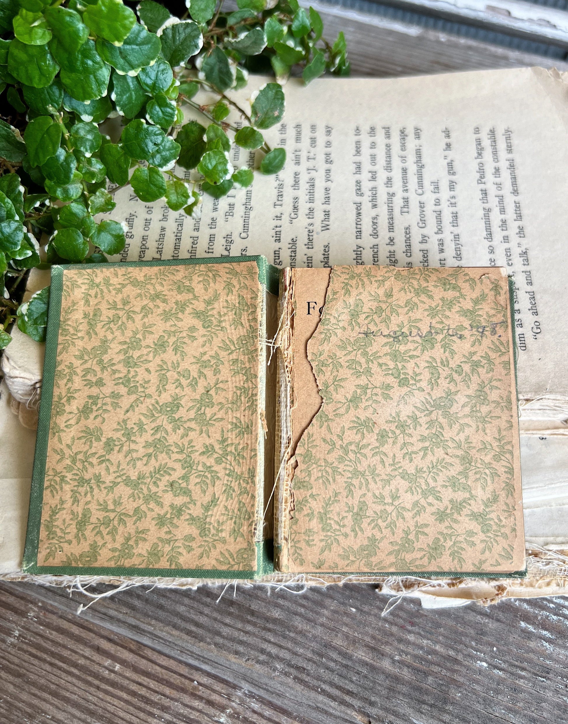 Antique Daily Food Devotional Book