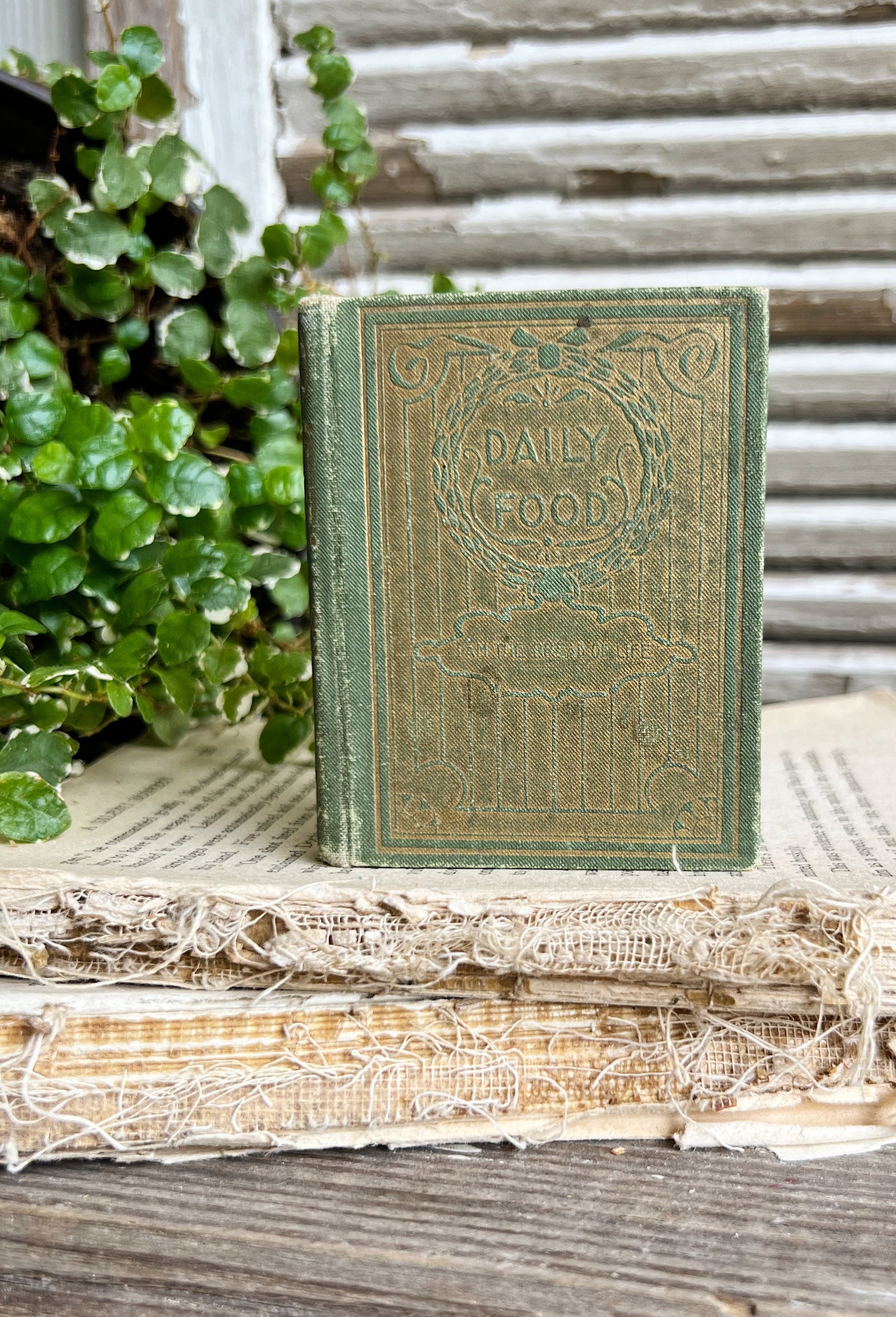 Antique Daily Food Devotional Book