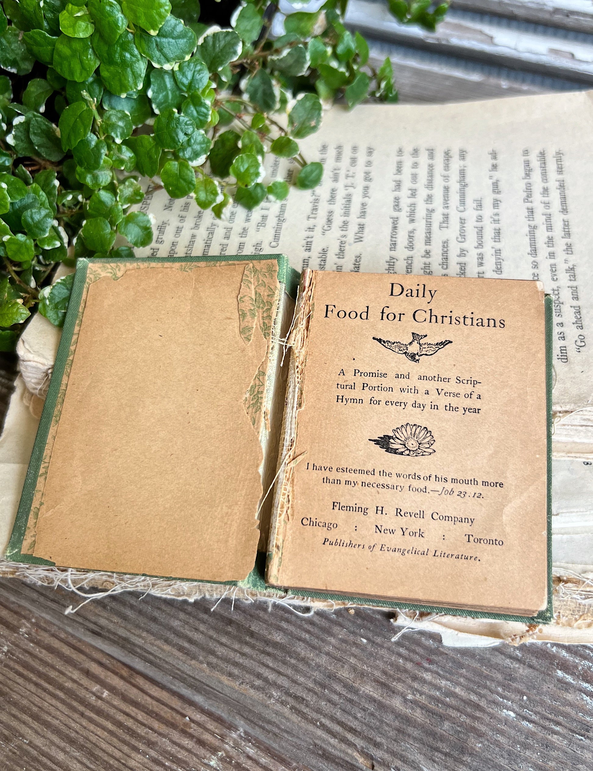 Antique Daily Food Devotional Book