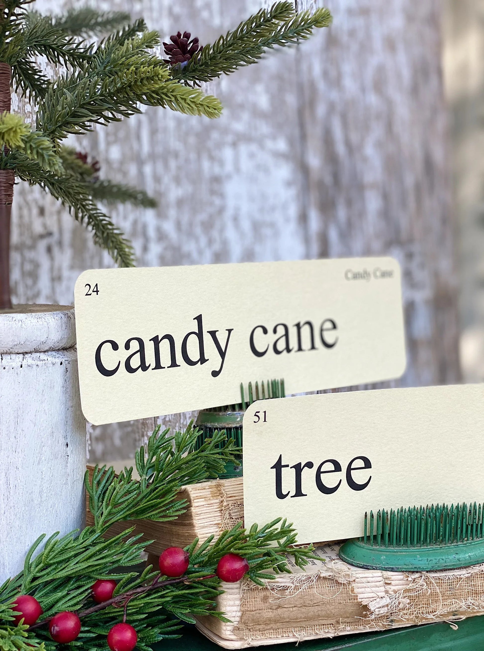 CHRISTMAS WORDS Flash Cards