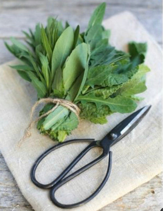 Farmhouse Bonsai Scissors