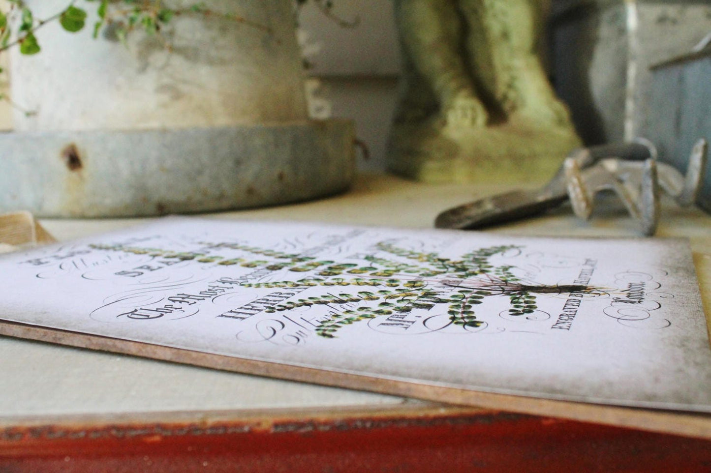 Vintage FERN Botanical Wood Sign Natural History Book Page Wall Art Print Farmhouse Decor Naturalist Spring Garden Easter