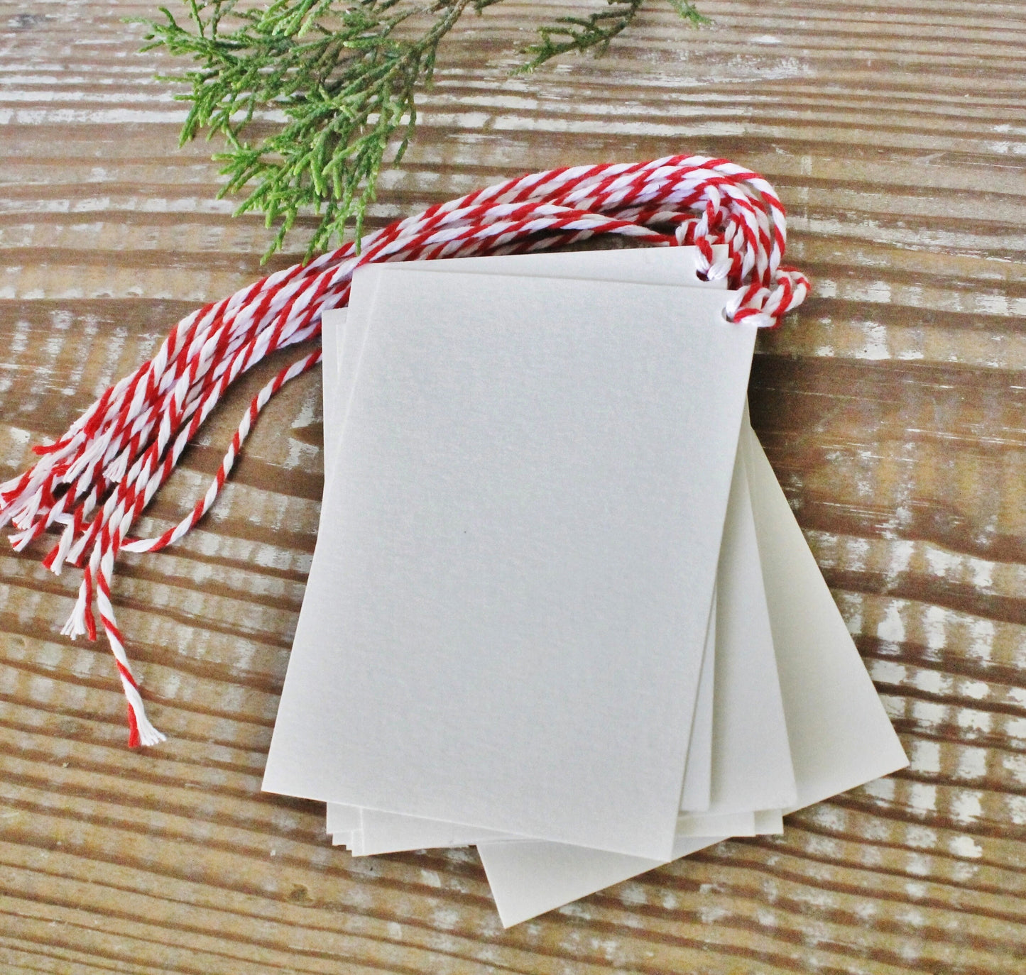 Christmas Gift Tags Chalk Vintage DEER Have Yourself A Merry Little Christmas Farmhouse Decor Gift Wrap Reindeer Silhouette Hand Lettered
