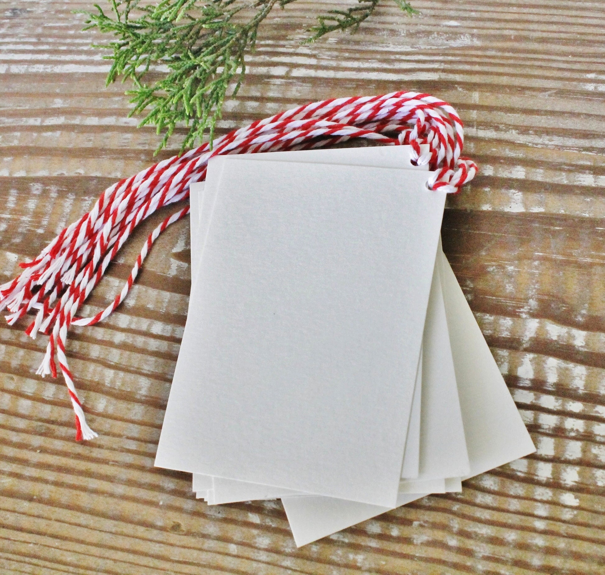 Christmas Gift Tags Chalk Vintage DEER Have Yourself A Merry Little Christmas Farmhouse Decor Gift Wrap Reindeer Silhouette Hand Lettered