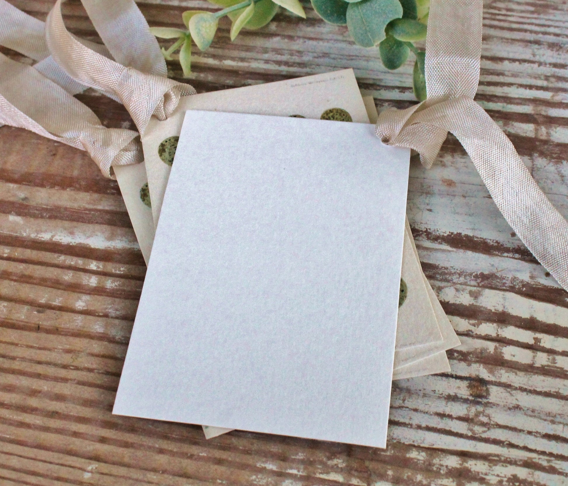 Botanical EGGS Vintage Easter Gift Tags Natural History Book Page French Farmhouse Decor Card Shabby Speckled Eggs Chart SET OF 8