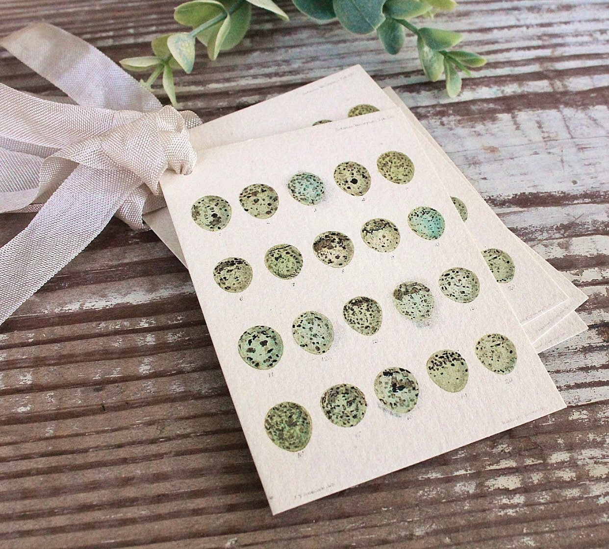 Botanical EGGS Vintage Easter Gift Tags Natural History Book Page French Farmhouse Decor Card Shabby Speckled Eggs Chart SET OF 8