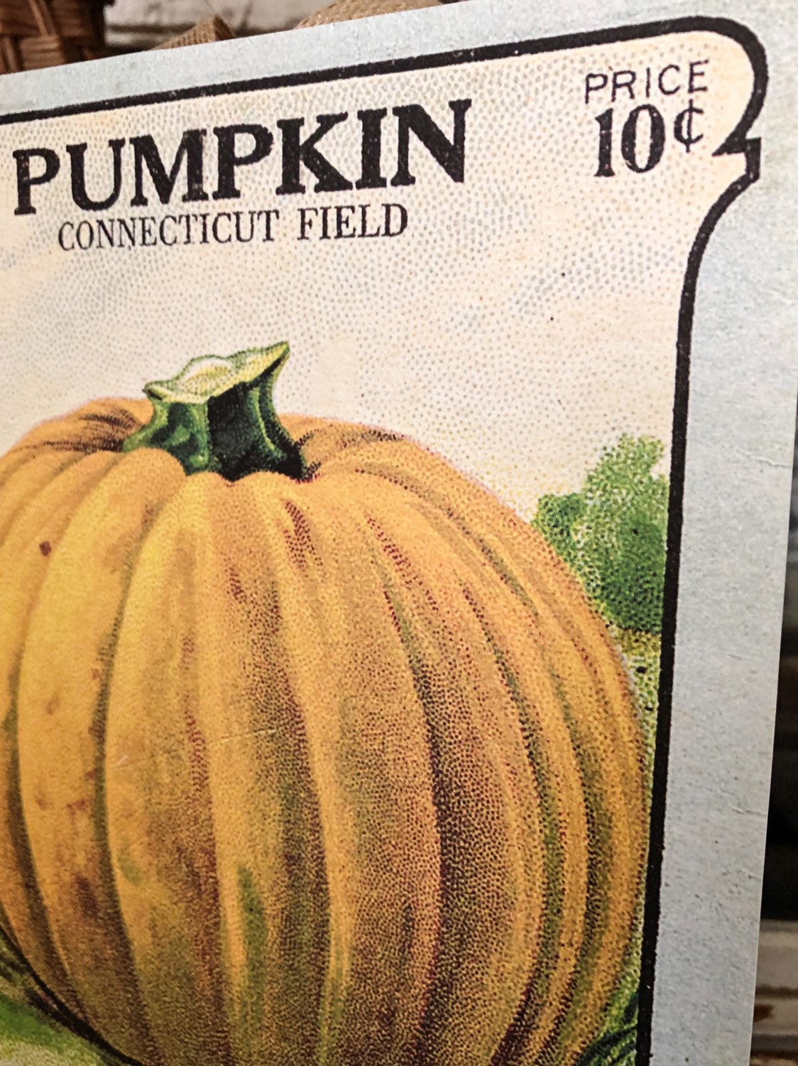 Vintage PUMPKIN SEED Print Sign Wood Wall Art Sign Farmhouse Decor Farm Fall Decor Haloween
