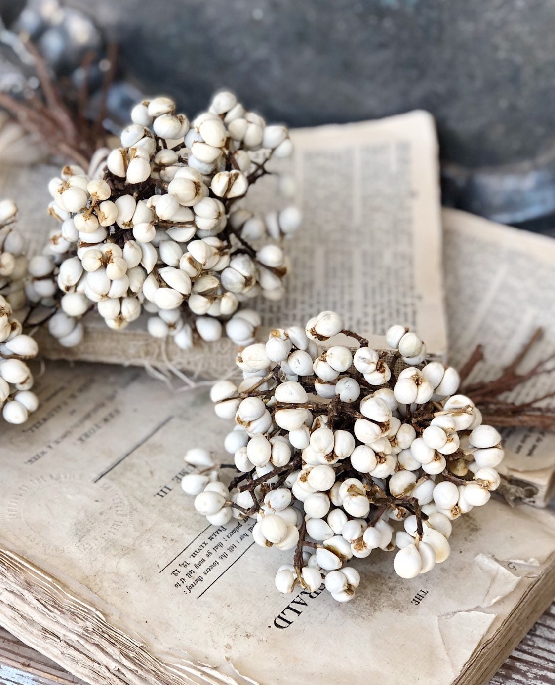 Tallow Berries TEXAS TALLOW Dried White Berry Bundle Bouquet Floral Supplies Farmhouse Home Decor Christmas Easter Wreath Wedding USA Gift