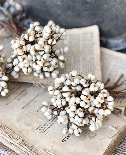 Tallow Berries TEXAS TALLOW Dried White Berry Bundle Bouquet Floral Supplies Farmhouse Home Decor Christmas Easter Wreath Wedding USA Gift