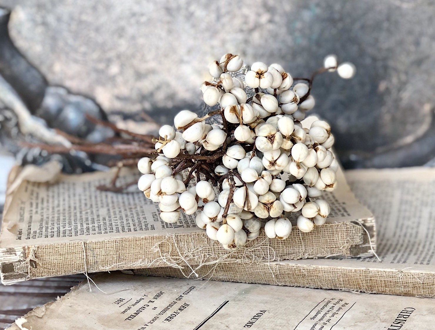 Tallow Berries TEXAS TALLOW Dried White Berry Bundle Bouquet Floral Supplies Farmhouse Home Decor Christmas Easter Wreath Wedding USA Gift