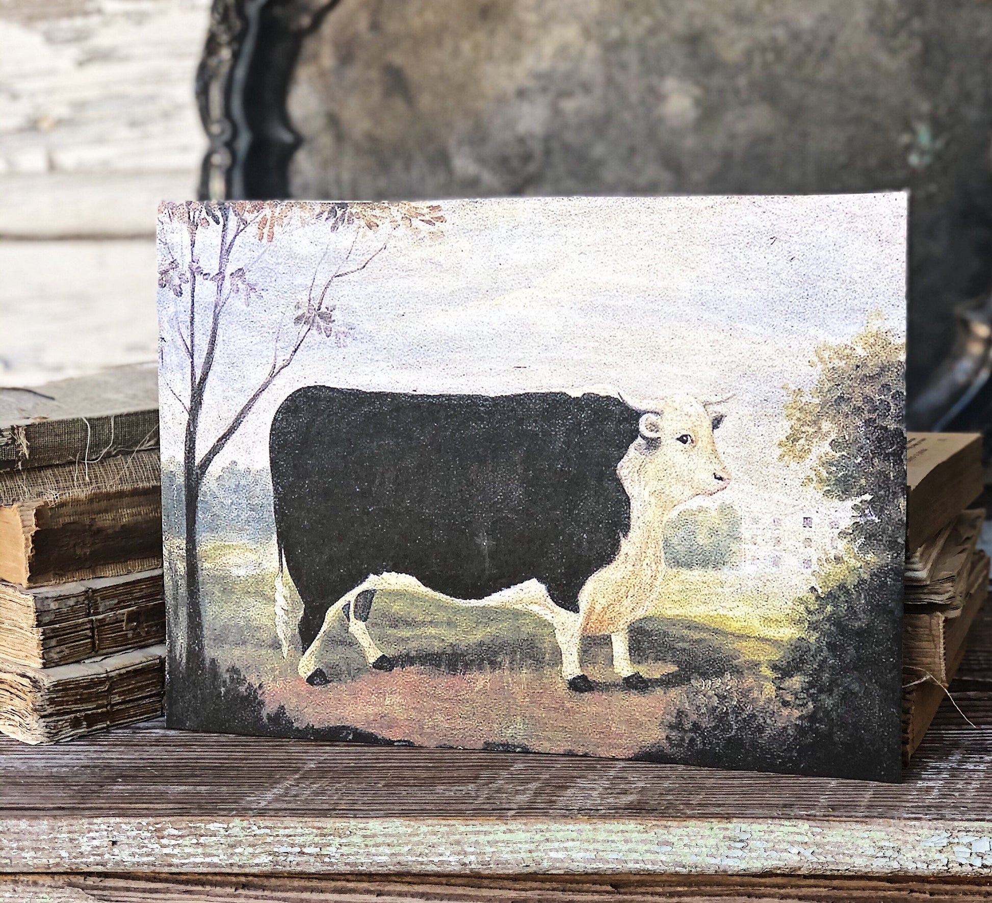 Vintage COW BULL Black White Hereford Wood Sign Primitive Farmhouse Decor Illustration Book Page Wall Art Print Pasture Farm Antique Image