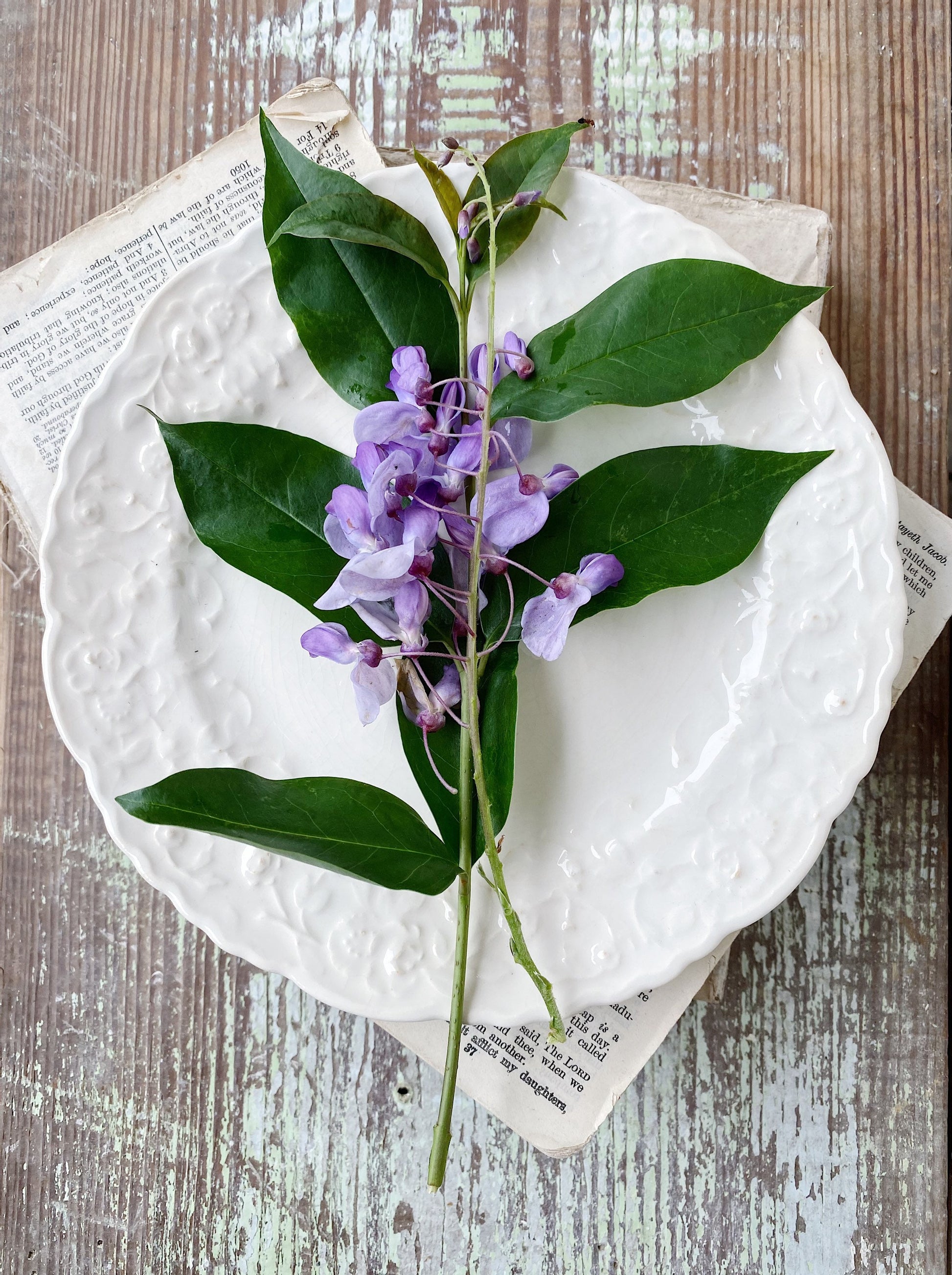 Antique Creamy White Ironstone Bowl ROSE POINT Pope Gosser PLATE Dessert Salad Embossed Scallop Farmhouse Decor Grungy Crazing