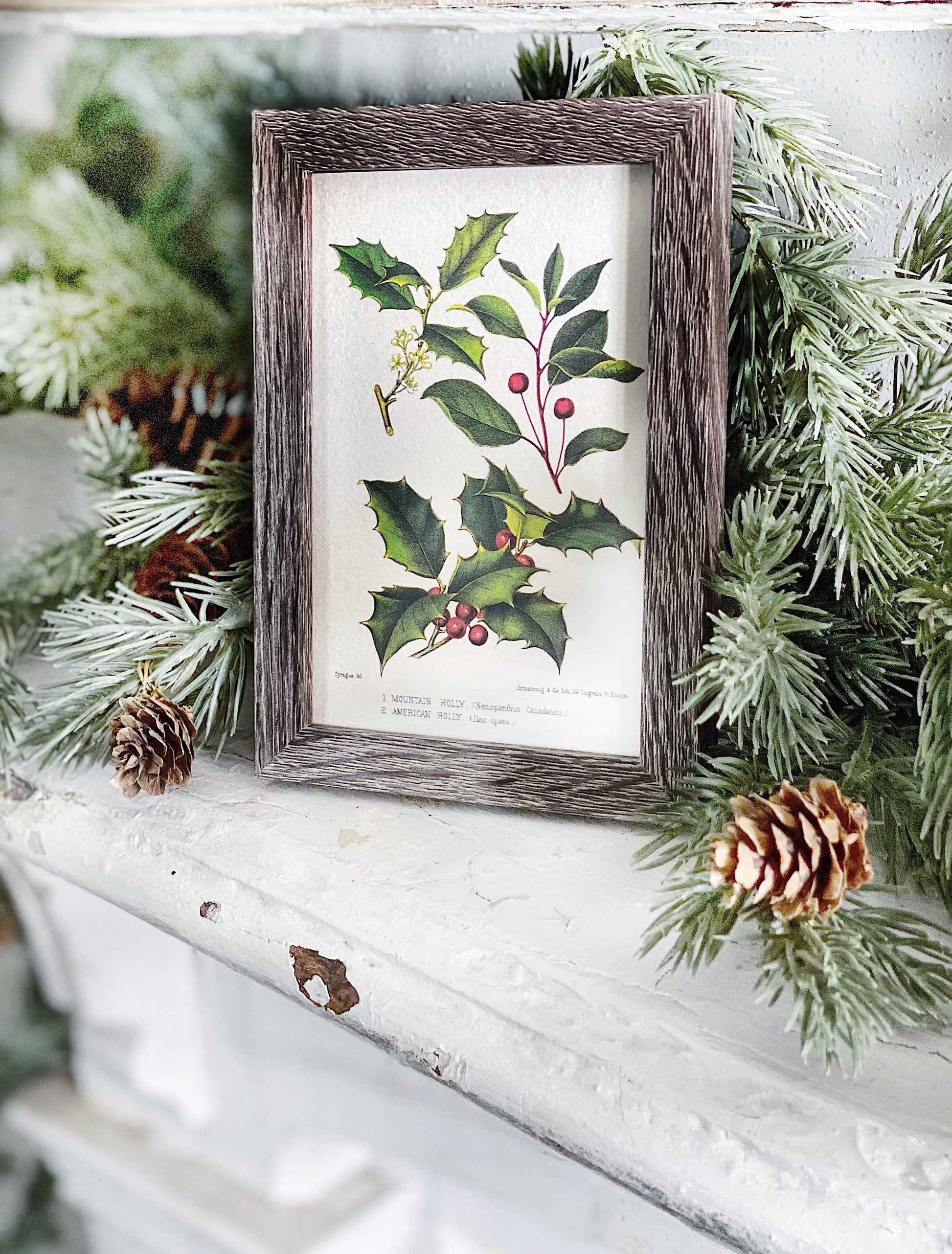 Vintage Christmas Sign HOLLY BOTANICAL Frame Farmhouse Christmas Decor Barn Wood Rustic Primitive Christmas Sign