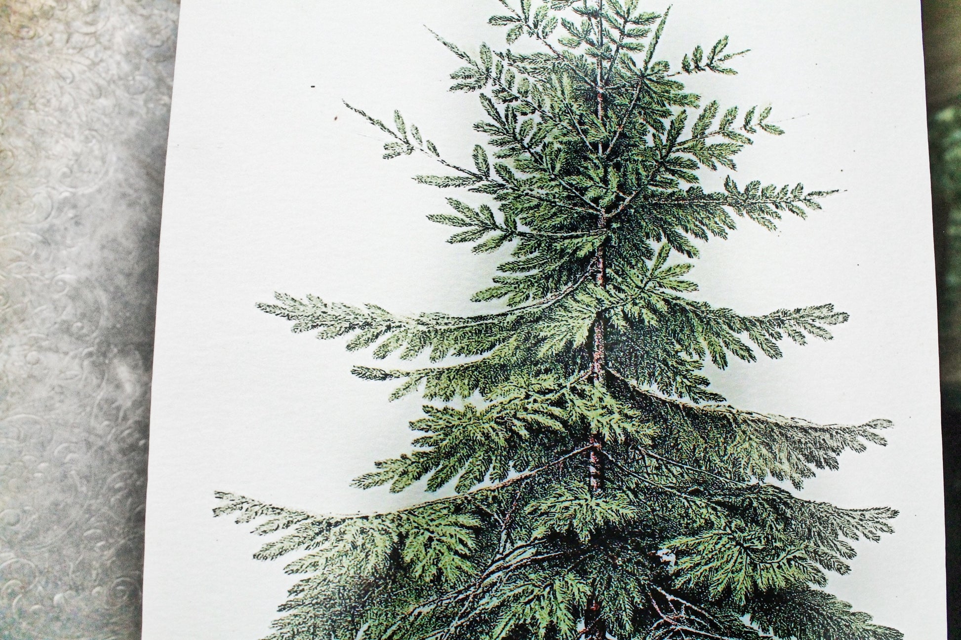 Christmas Pine Tree Wood Sign Vintage Christmas Farmhouse Decor Botanical Natural History Book Page Wall Art Print Primitive
