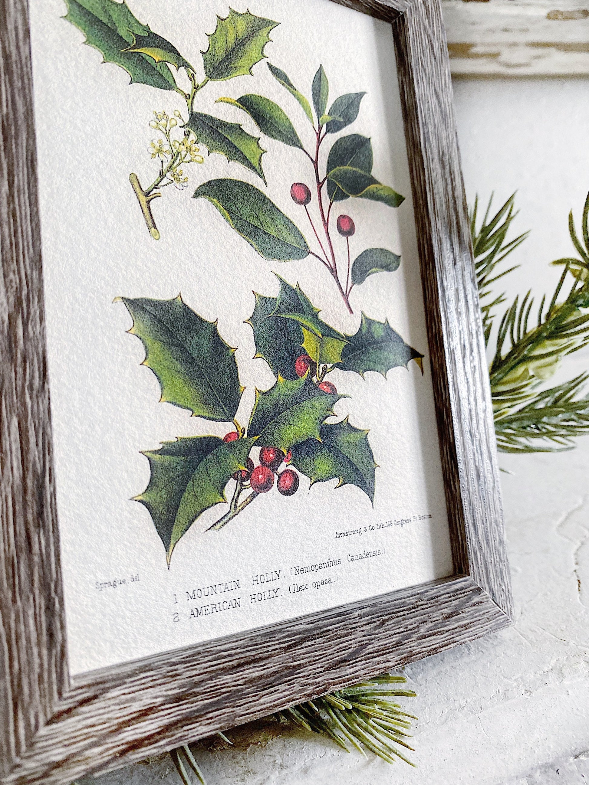 Vintage Christmas Sign HOLLY BOTANICAL Frame Farmhouse Christmas Decor Barn Wood Rustic Primitive Christmas Sign