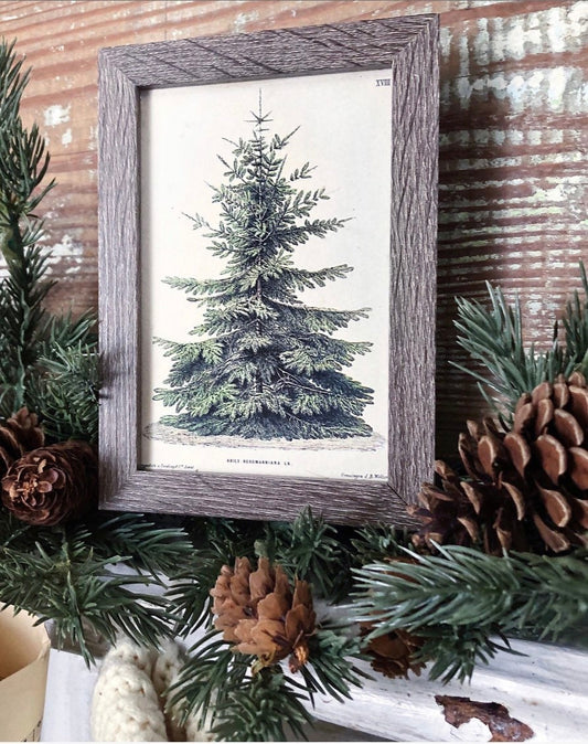 Vintage Christmas Tree Sign PINE TREE Frame Farmhouse Christmas Winter Decor Barn Wood Rustic Primitive Framed Sign Botanical Illustration