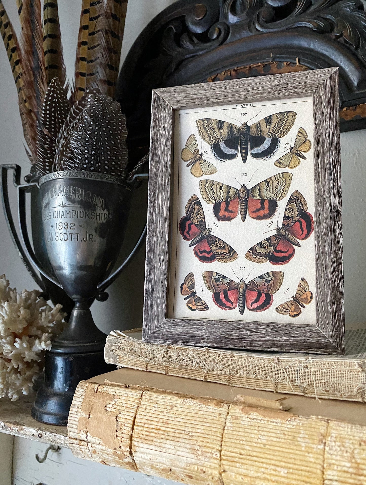 Vintage Botanical Print Moth Butterfly Wall Art Sign Wood Frame Sign Farmhouse Decor Natural History Book Page BLACK GOLD BROWN Fall Decor