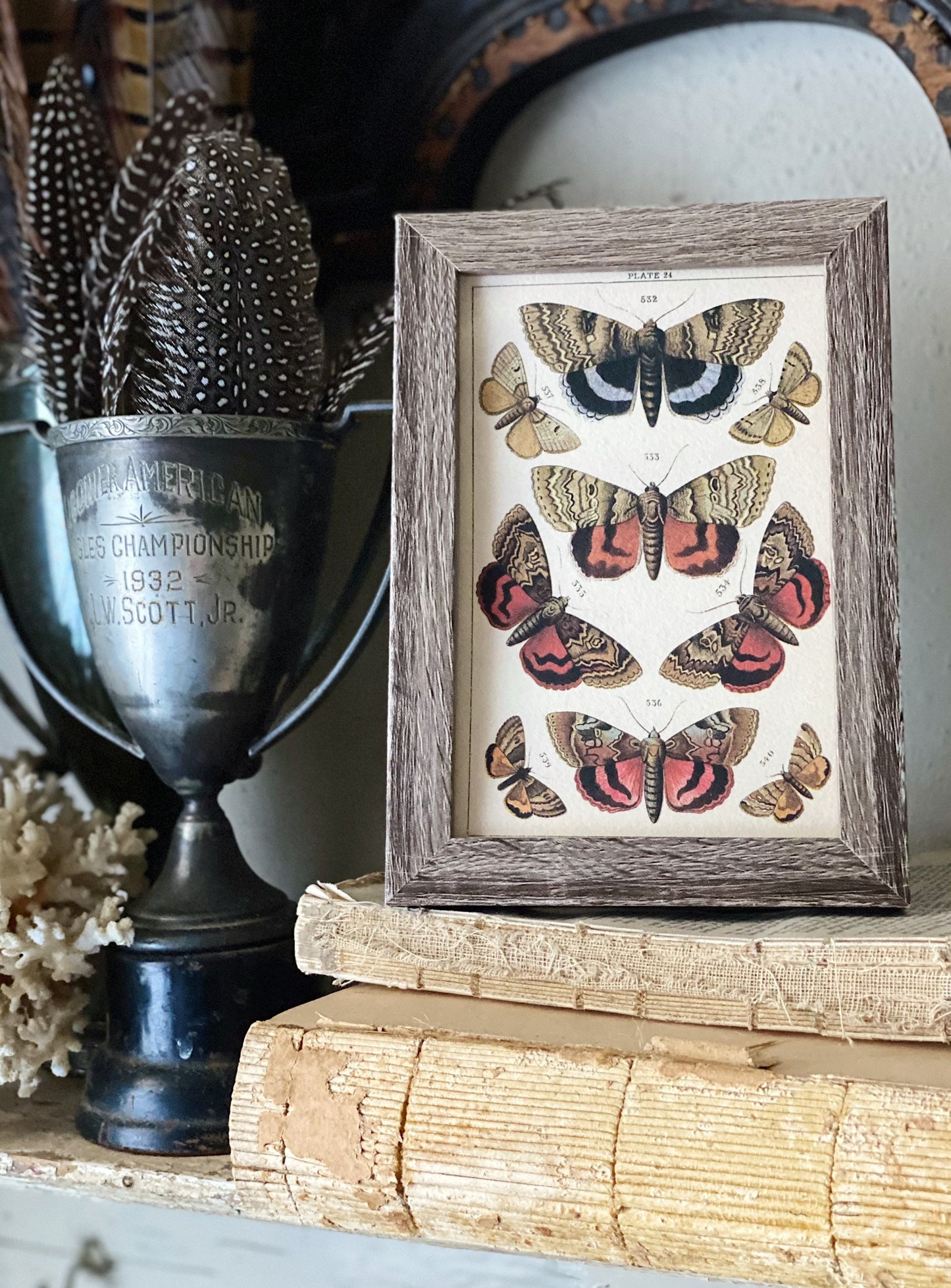 Vintage Botanical Print Moth Butterfly Wall Art Sign Wood Frame Sign Farmhouse Decor Natural History Book Page BLACK GOLD BROWN Fall Decor