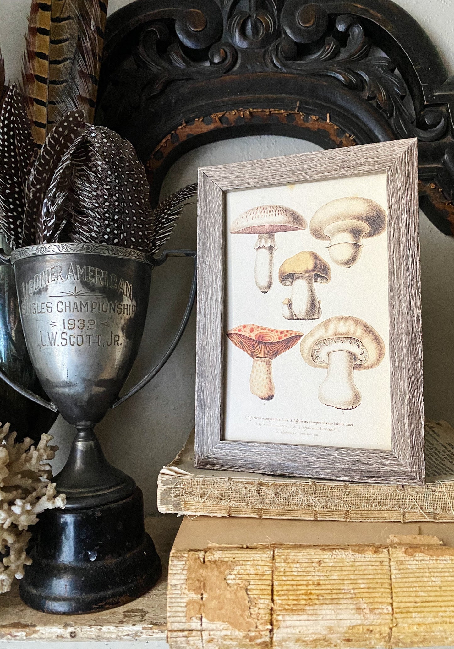 Vintage Mushroom Print, Framed Botanical Wall Art Sign
