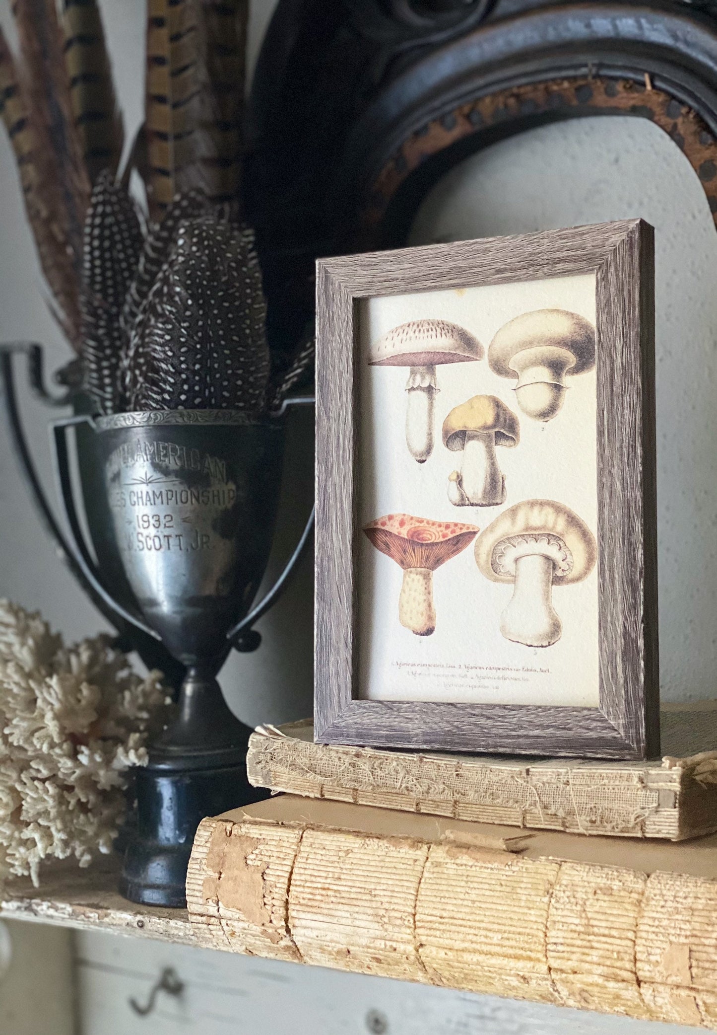 Vintage Mushroom Print, Framed Botanical Wall Art Sign