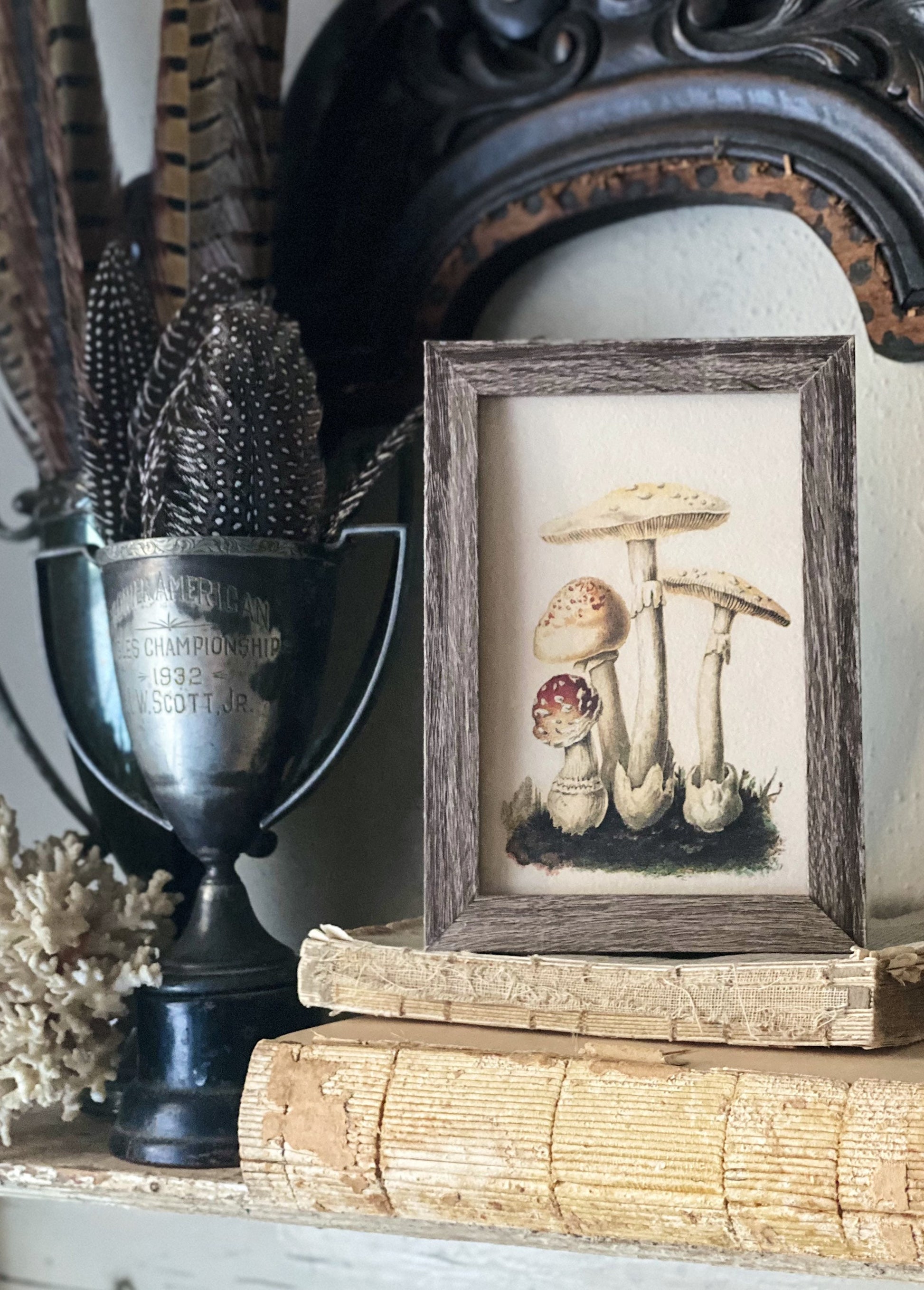 Vintage Mushroom Botanical Print, Rustic Wood Frame Sign, Farmhouse Decor