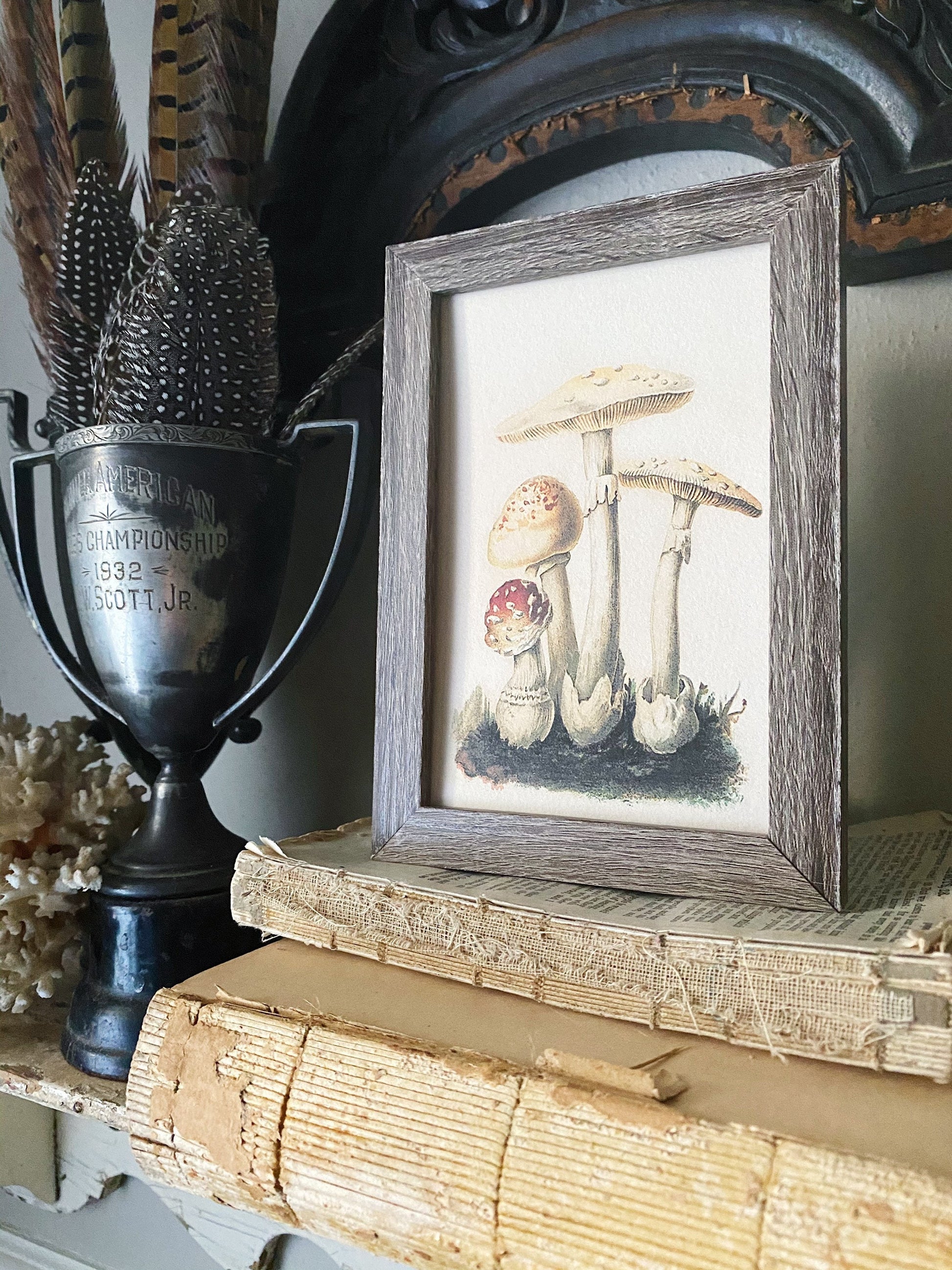 Vintage Mushroom Botanical Print, Rustic Wood Frame Sign, Farmhouse Decor