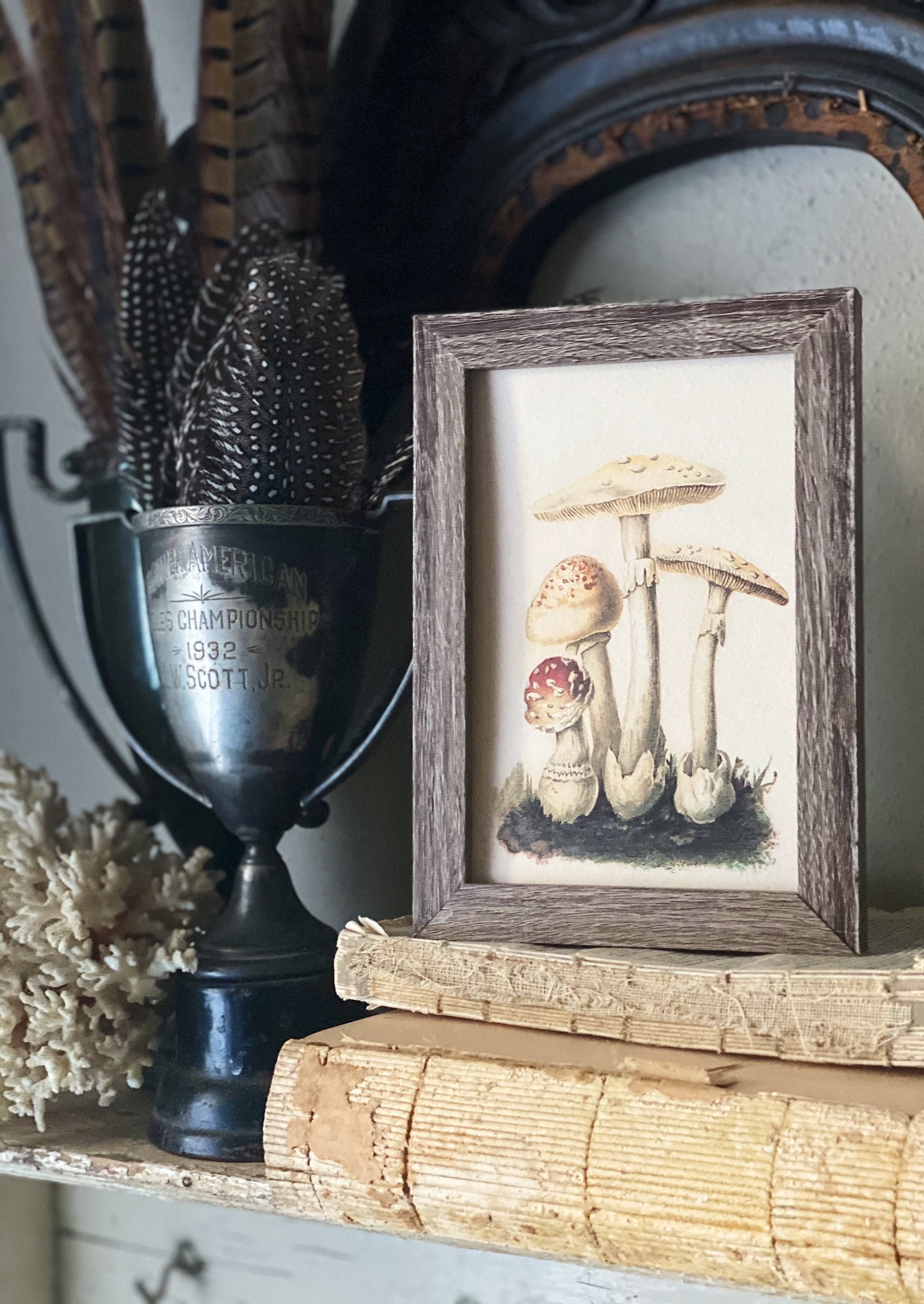 Vintage Mushroom Botanical Print, Rustic Wood Frame Sign, Farmhouse Decor