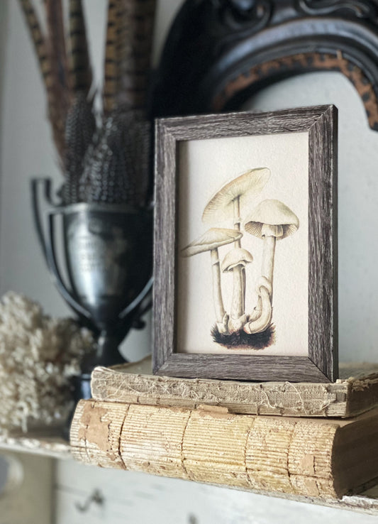 Vintage Botanical MUSHROOM Wall Art Sign Wood Frame Sign Farmhouse Decor Natural History Book Page