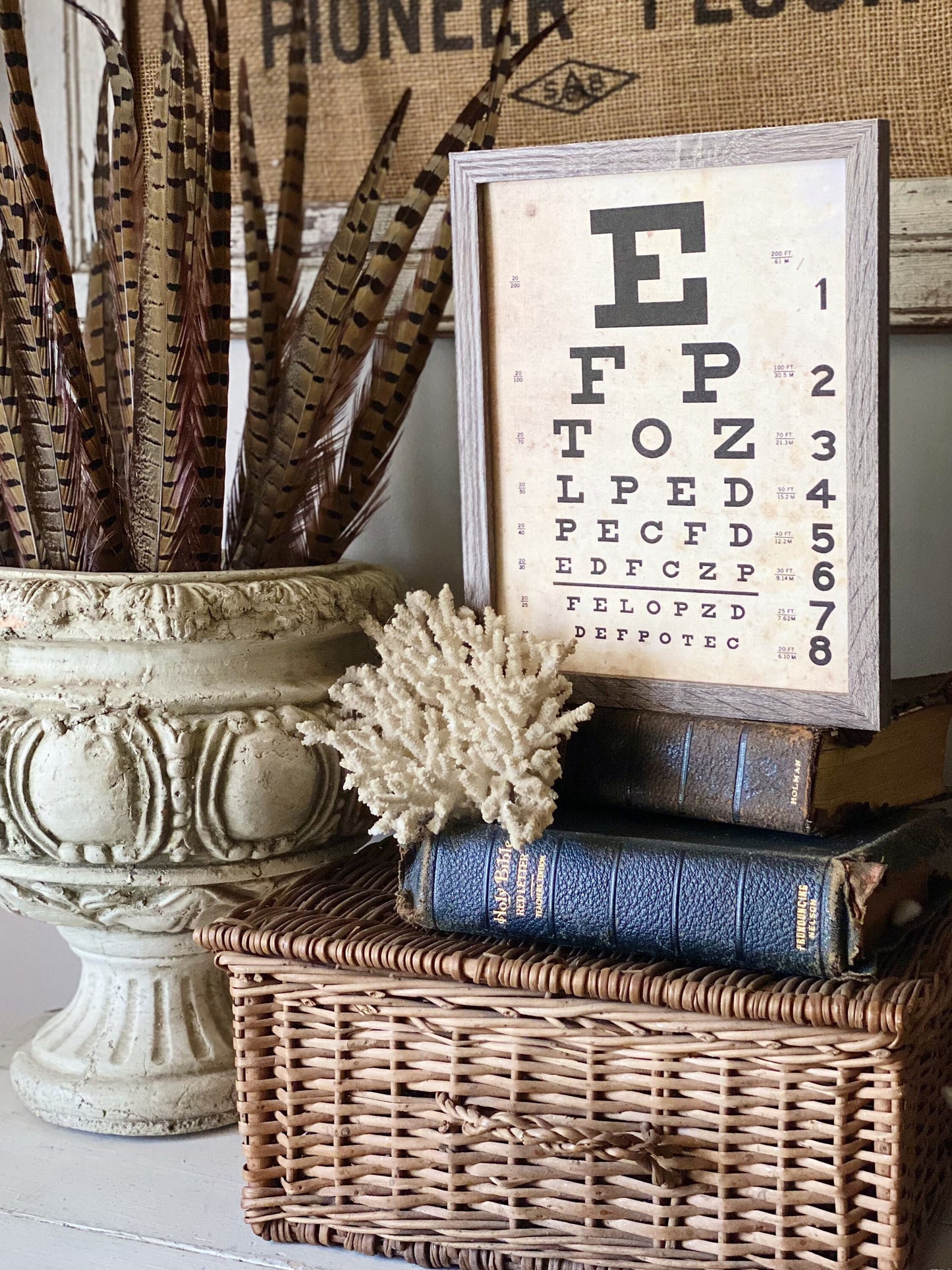 Vintage EYE CHART Wood Sign Frame Mounted Print Farmhouse Decor Page Wall Art Print Primitive Decor Poster Homeschool Decor Back To School