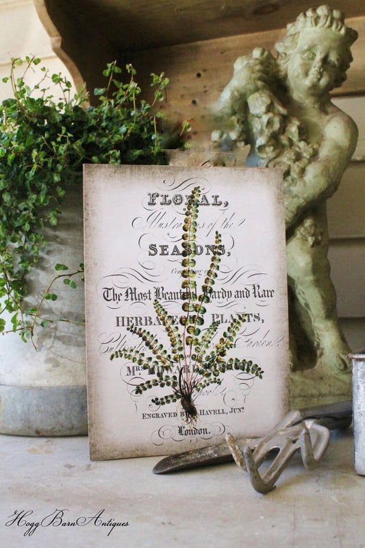 Vintage FERN Botanical Wood Sign Natural History Book Page Wall Art Print Farmhouse Decor Naturalist Spring Garden Easter