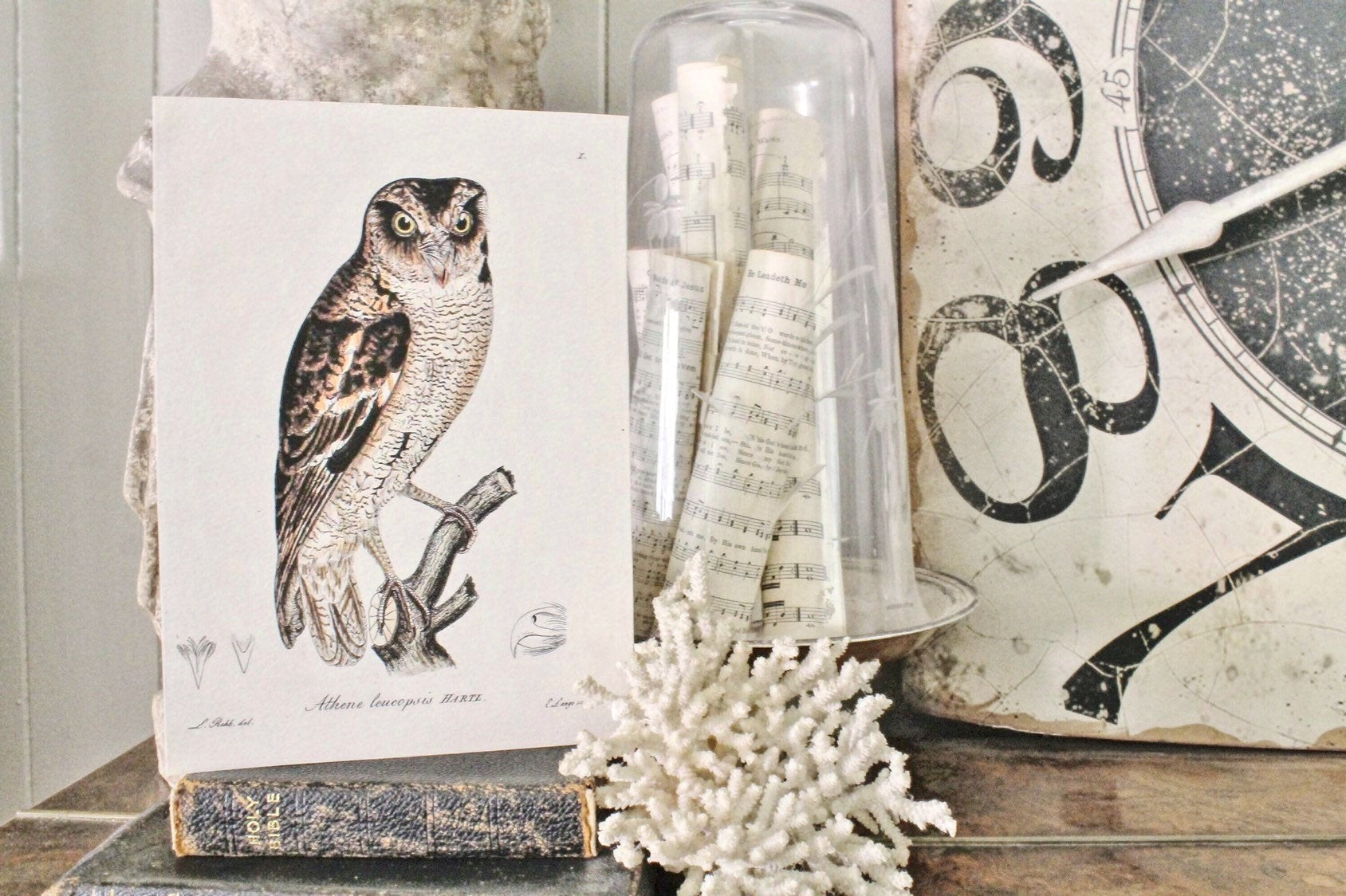 Vintage OWL Print Sign Wood Wall Art Sign Farmhouse Decor Page Print Fixer Upper Natural Bird History Fall Decor Halloween Decor