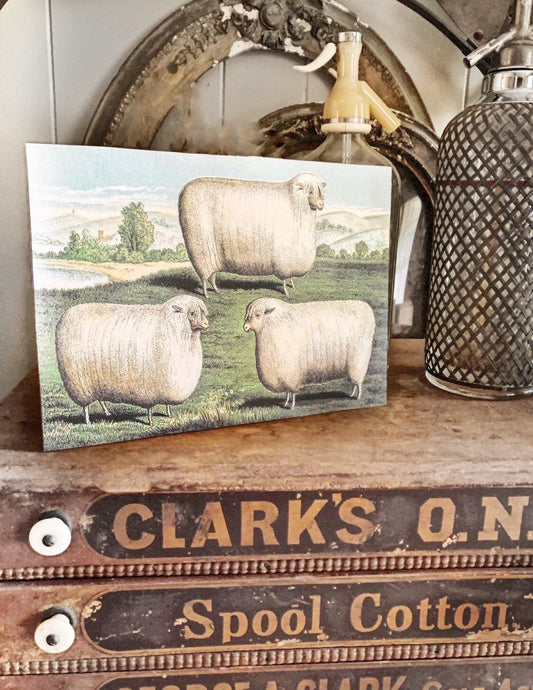 Vintage SHEEP HERD Wood Sign Primitive Farmhouse Decor Illustration Book Page Wall Art Print Pasture Farm Antique Image