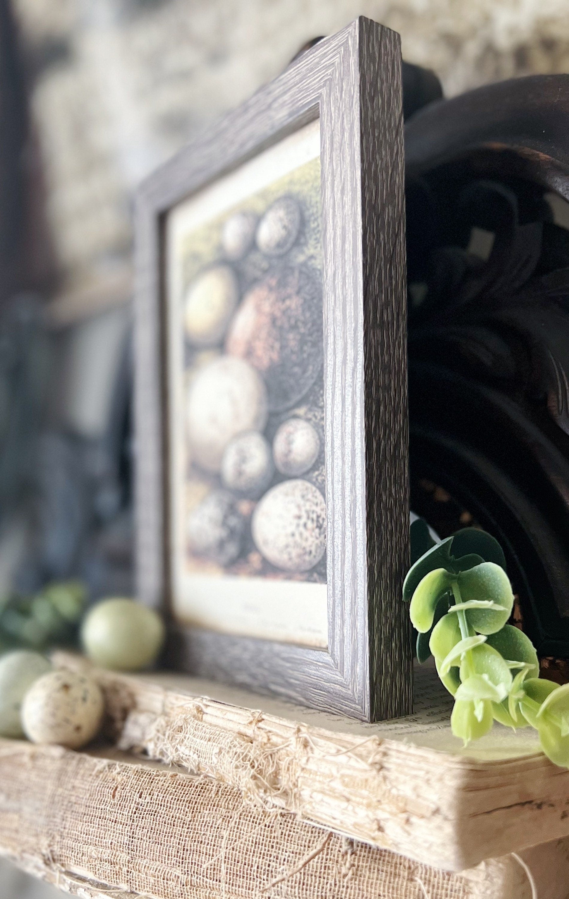 EGGS Framed Sign Post Card French Farmhouse Decor Barn Wood Easter Botanical