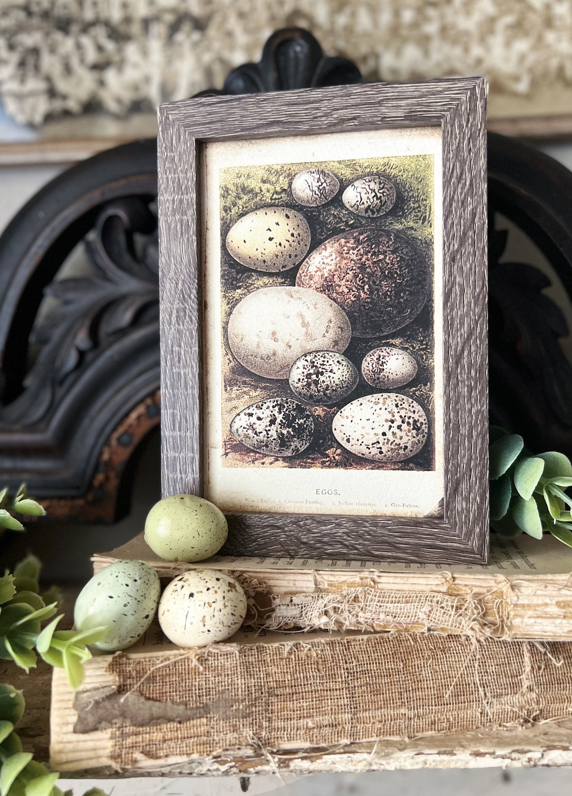 EGGS Framed Sign Post Card French Farmhouse Decor Barn Wood Easter Botanical