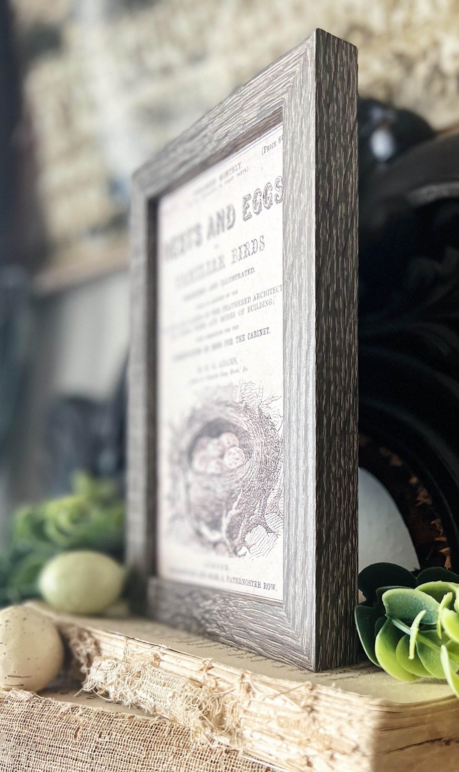 NESTS AND EGGS Framed Sign Post Card French Farmhouse Decor Barn Wood Easter Botanical