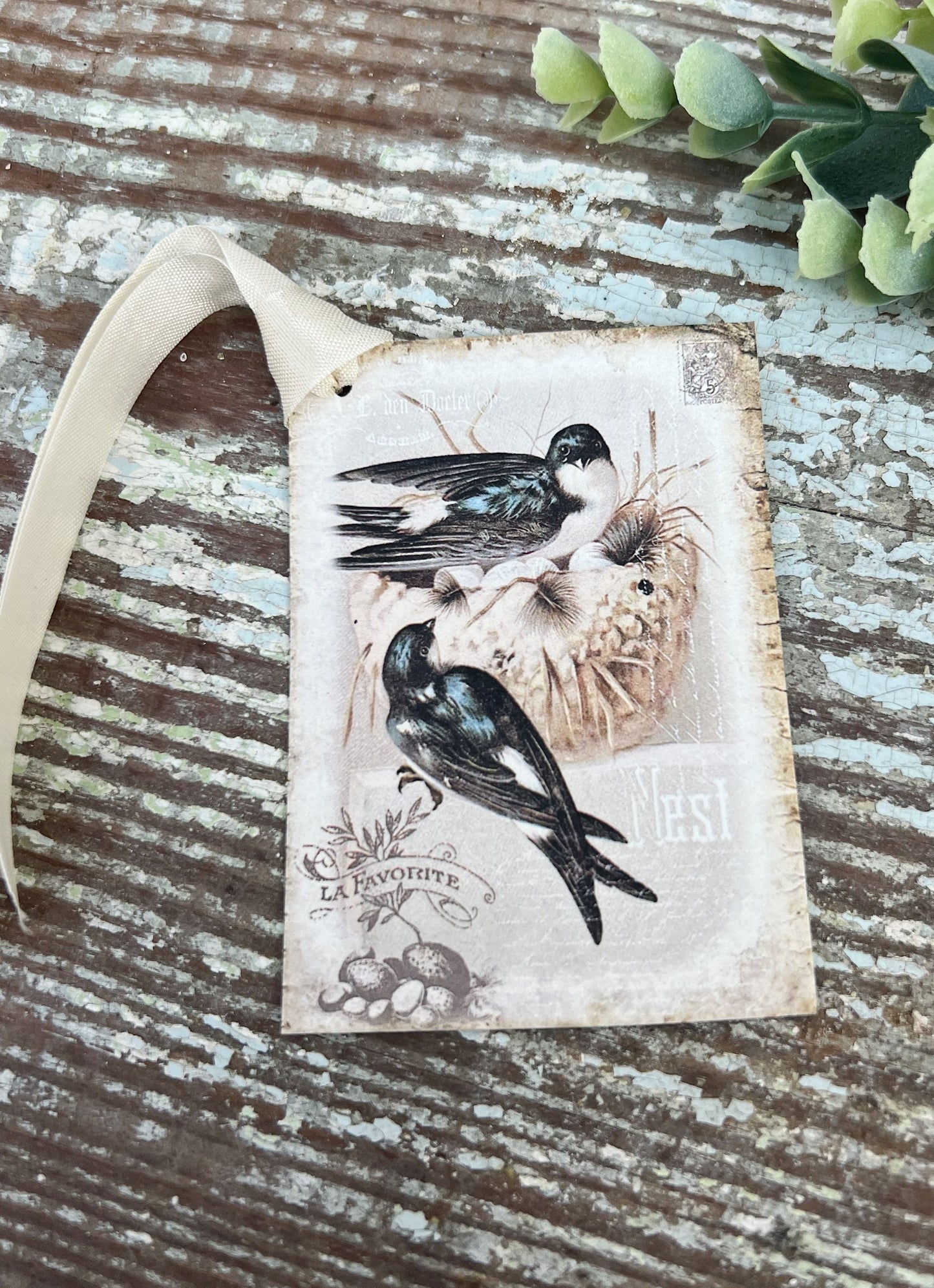 Birds with Nest Vintage Easter Gift Tags Natural History Book Page French Farmhouse Decor Card Shabby SET OF 8