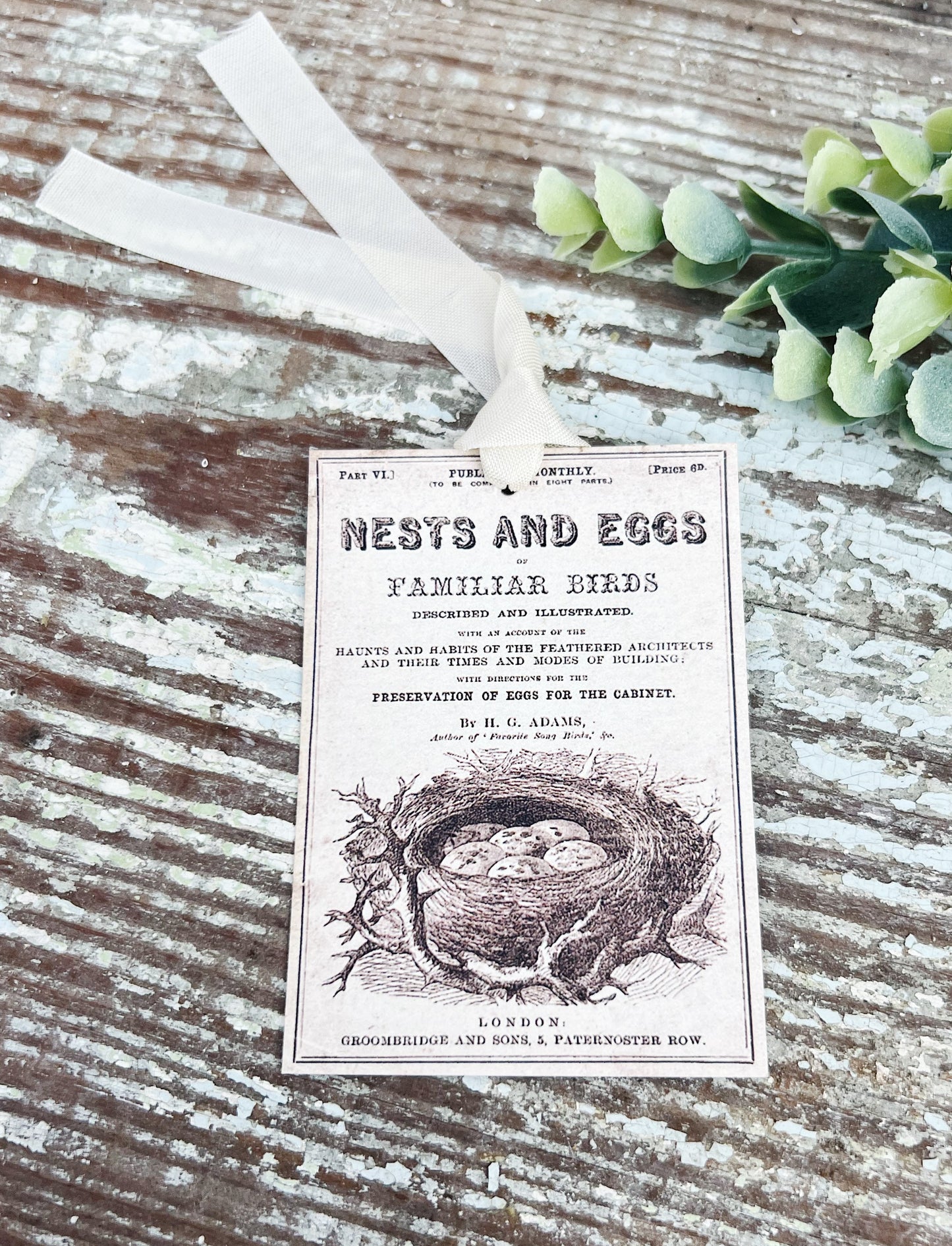 Nests and Eggs Vintage Easter Gift Tags Natural History Book Page French Farmhouse Decor Card Shabby SET OF 8