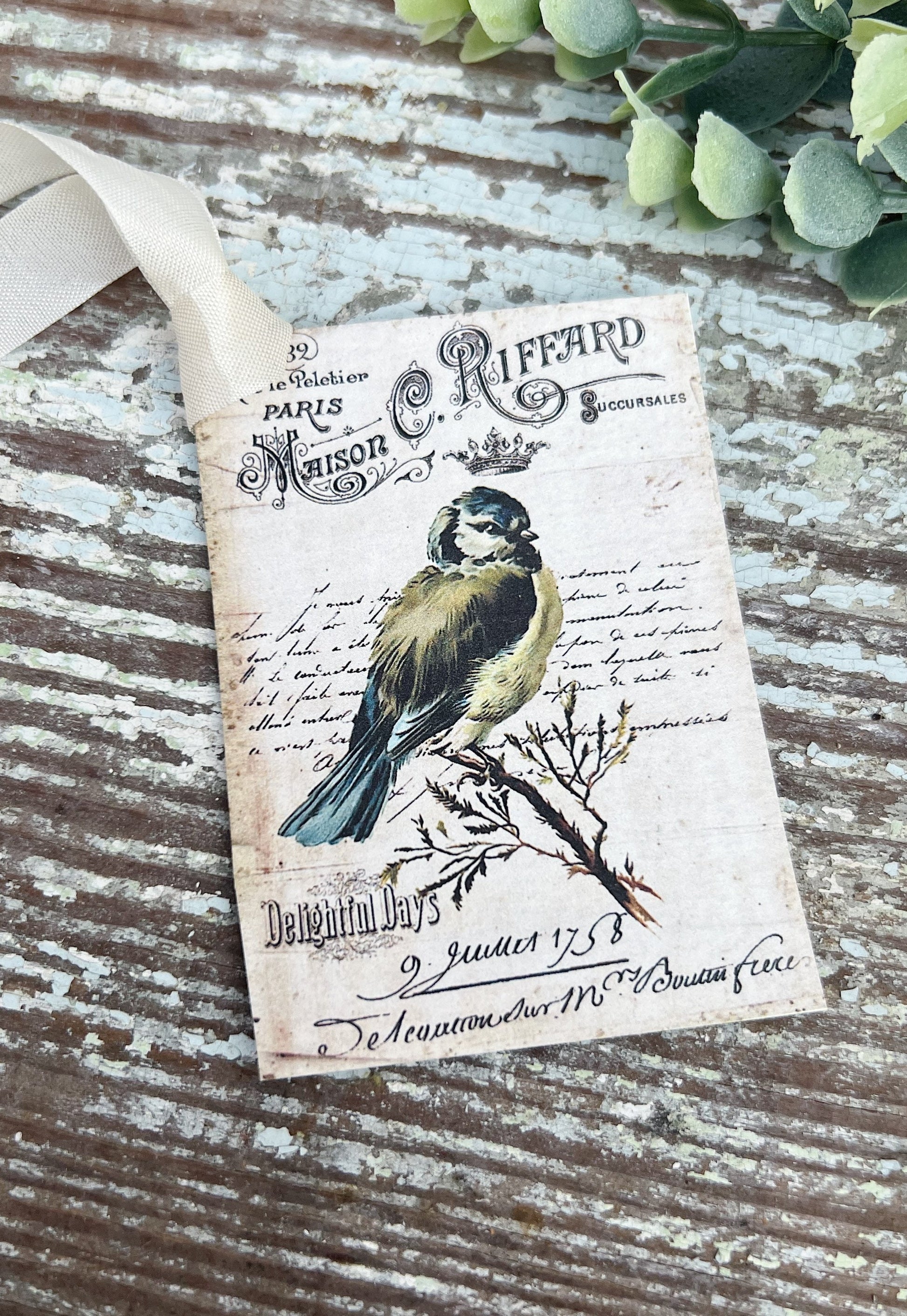 Bird Vintage Easter Gift Tags Natural History Book Page French Farmhouse Decor Card Shabby SET OF 8