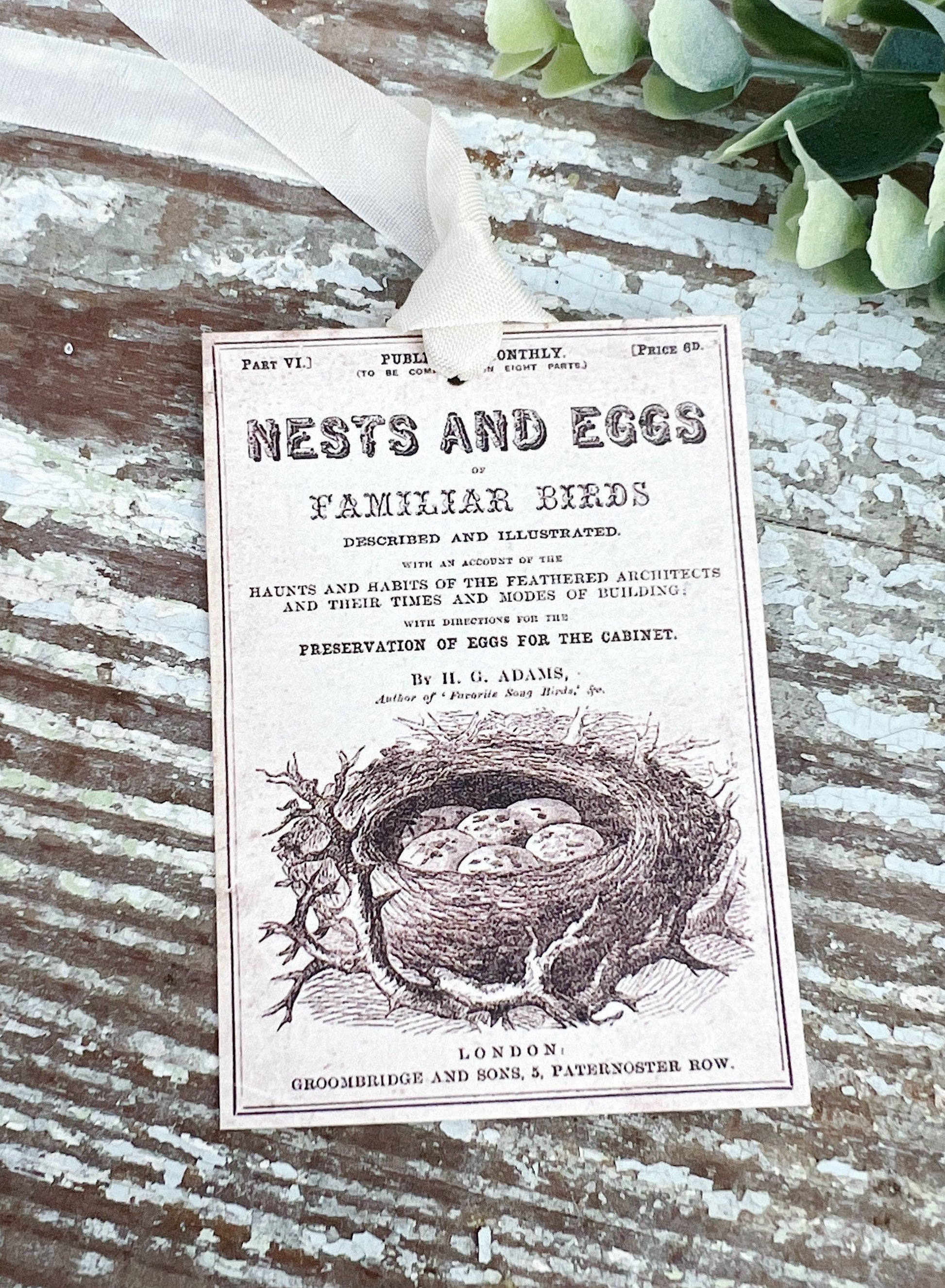 Nests and Eggs Vintage Easter Gift Tags Natural History Book Page French Farmhouse Decor Card Shabby SET OF 8