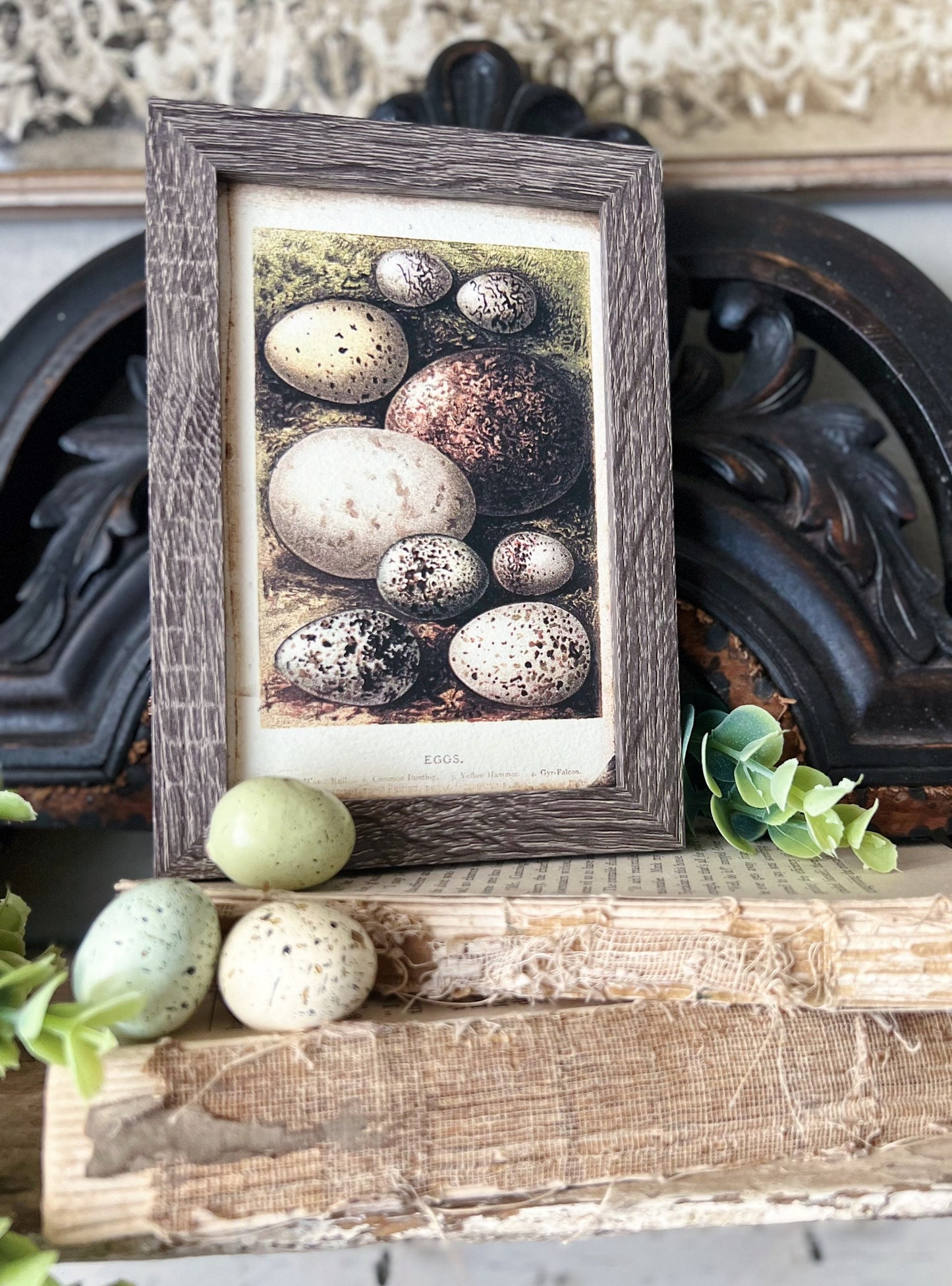 EGGS Framed Sign Post Card French Farmhouse Decor Barn Wood Easter Botanical