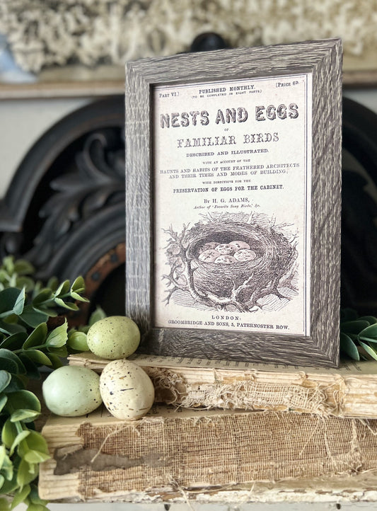 NESTS AND EGGS Framed Sign Post Card French Farmhouse Decor Barn Wood Easter Botanical